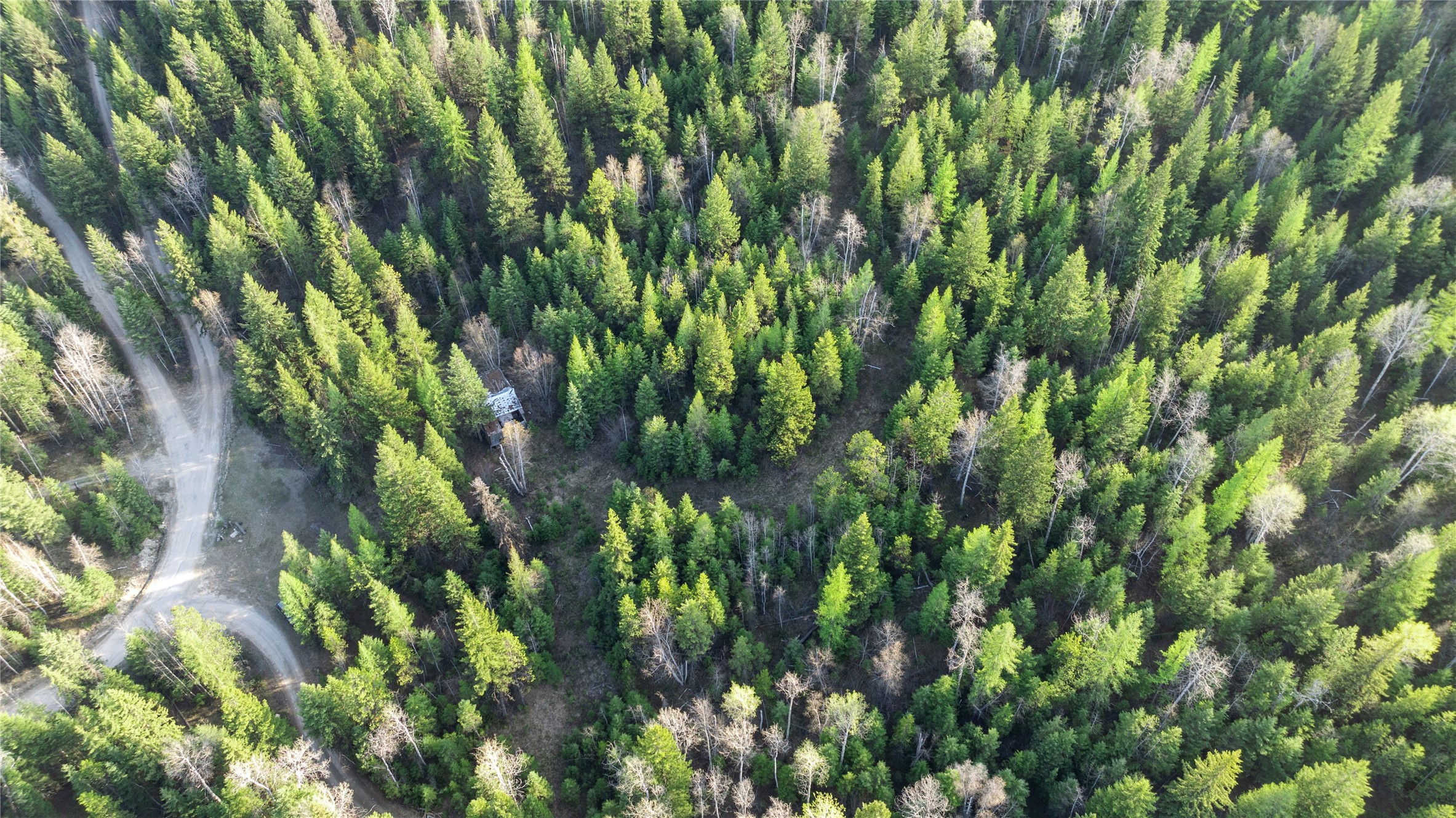 2096 Marl Lake Creek Road