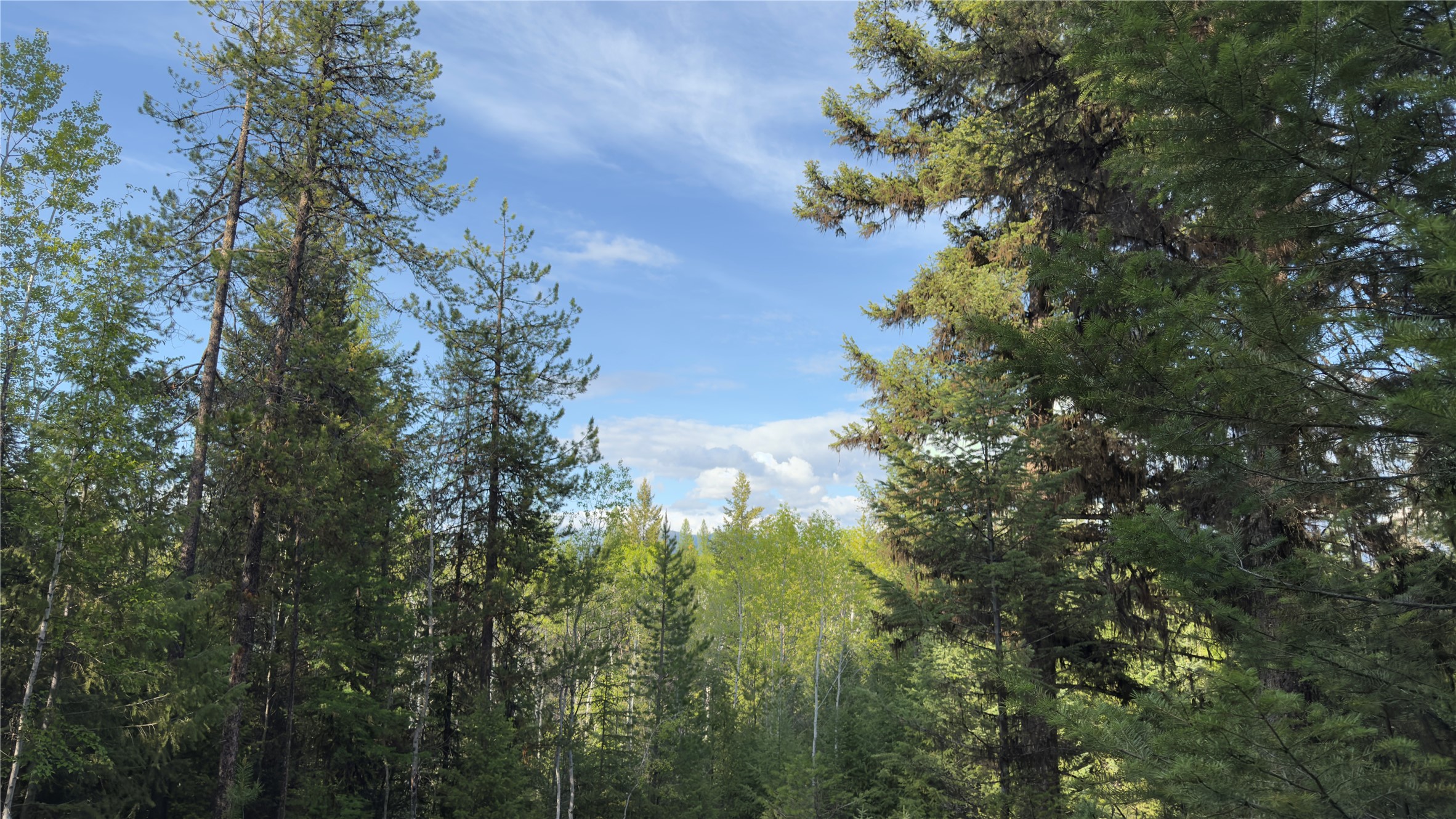 2096 Marl Lake Creek Road