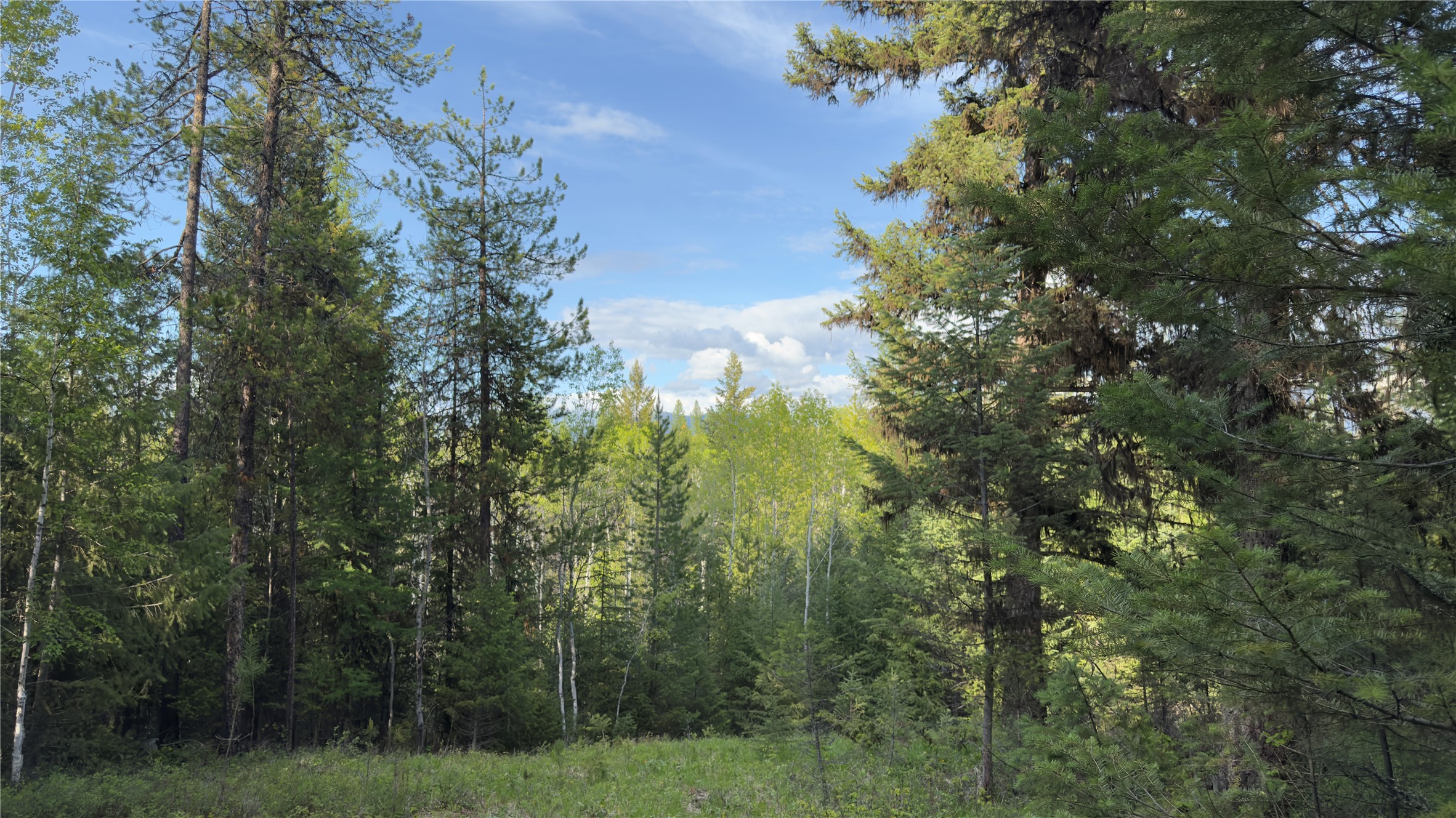 2096 Marl Lake Creek Road