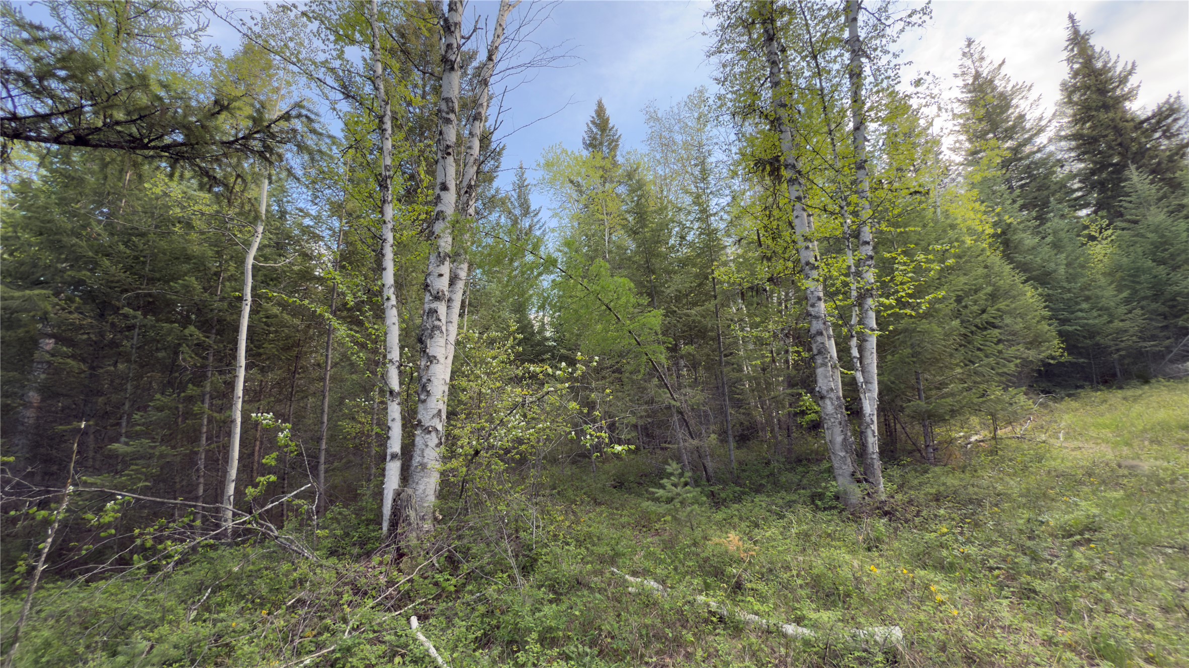 2096 Marl Lake Creek Road