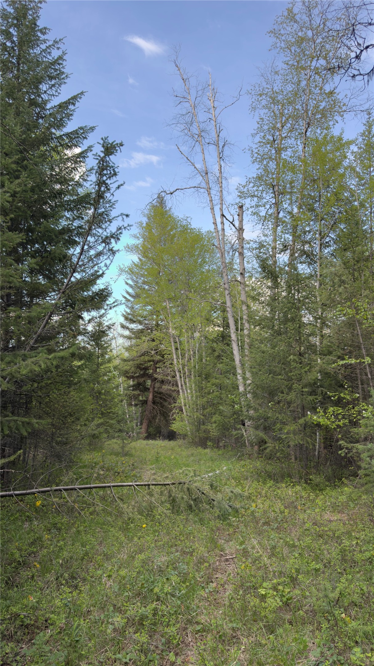 2096 Marl Lake Creek Road