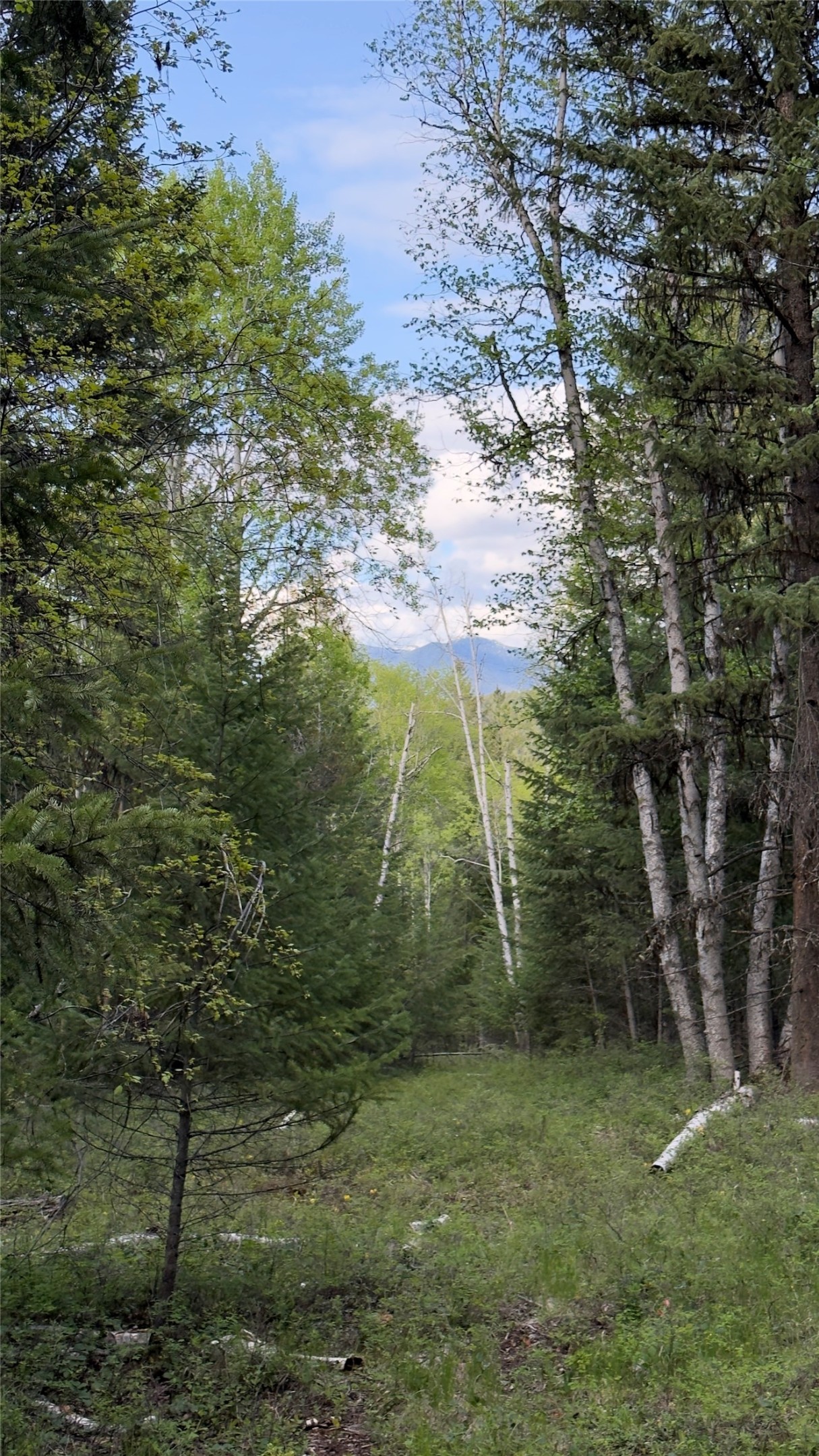 2096 Marl Lake Creek Road