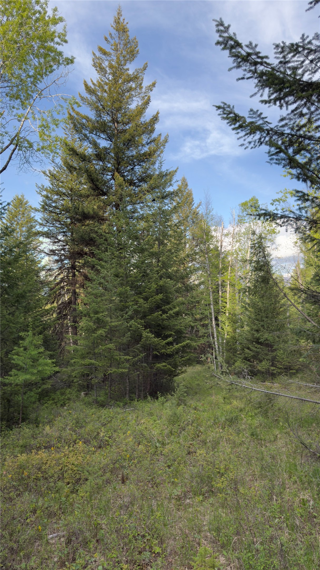 2096 Marl Lake Creek Road