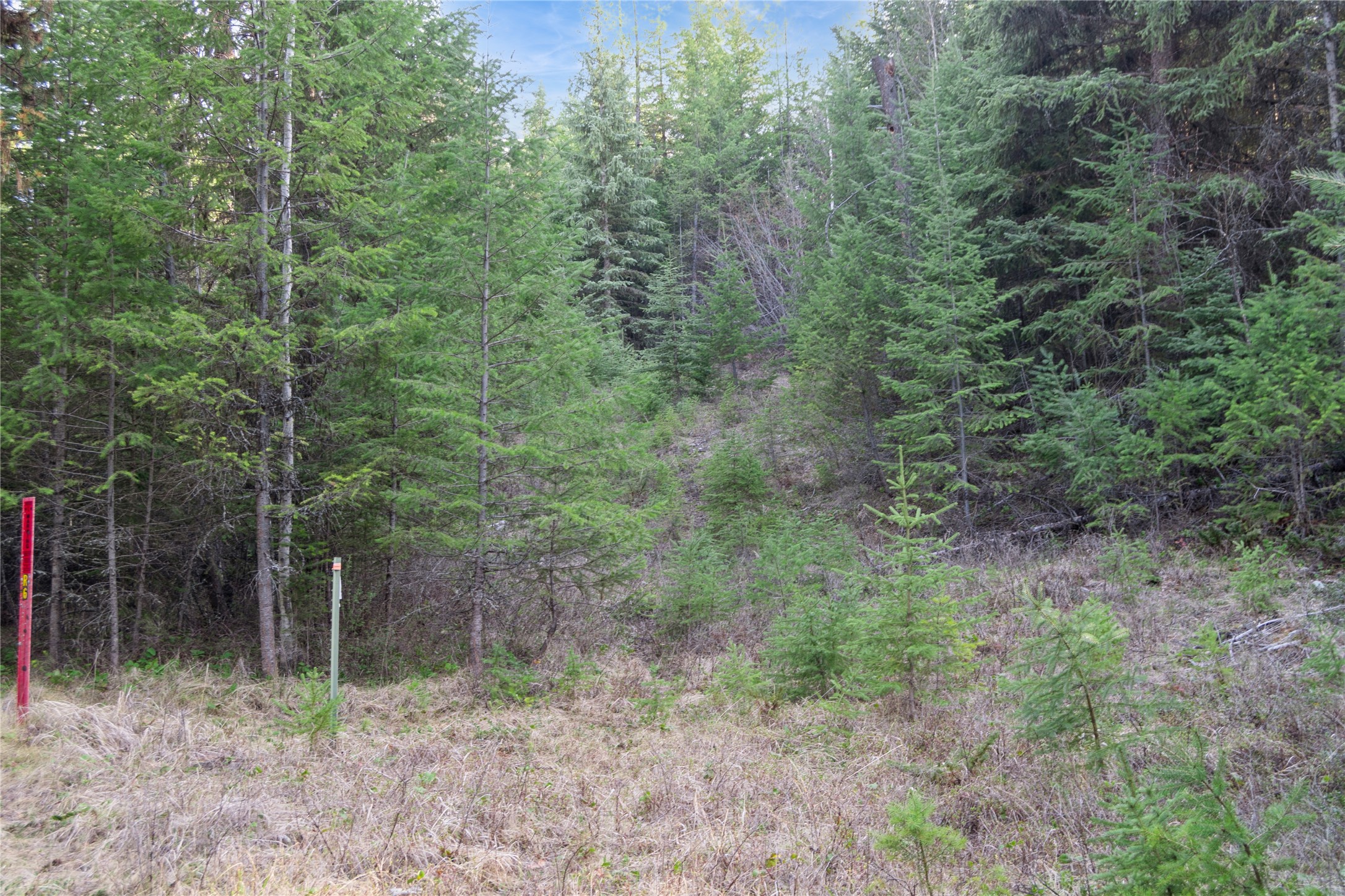 2096 Marl Lake Creek Road