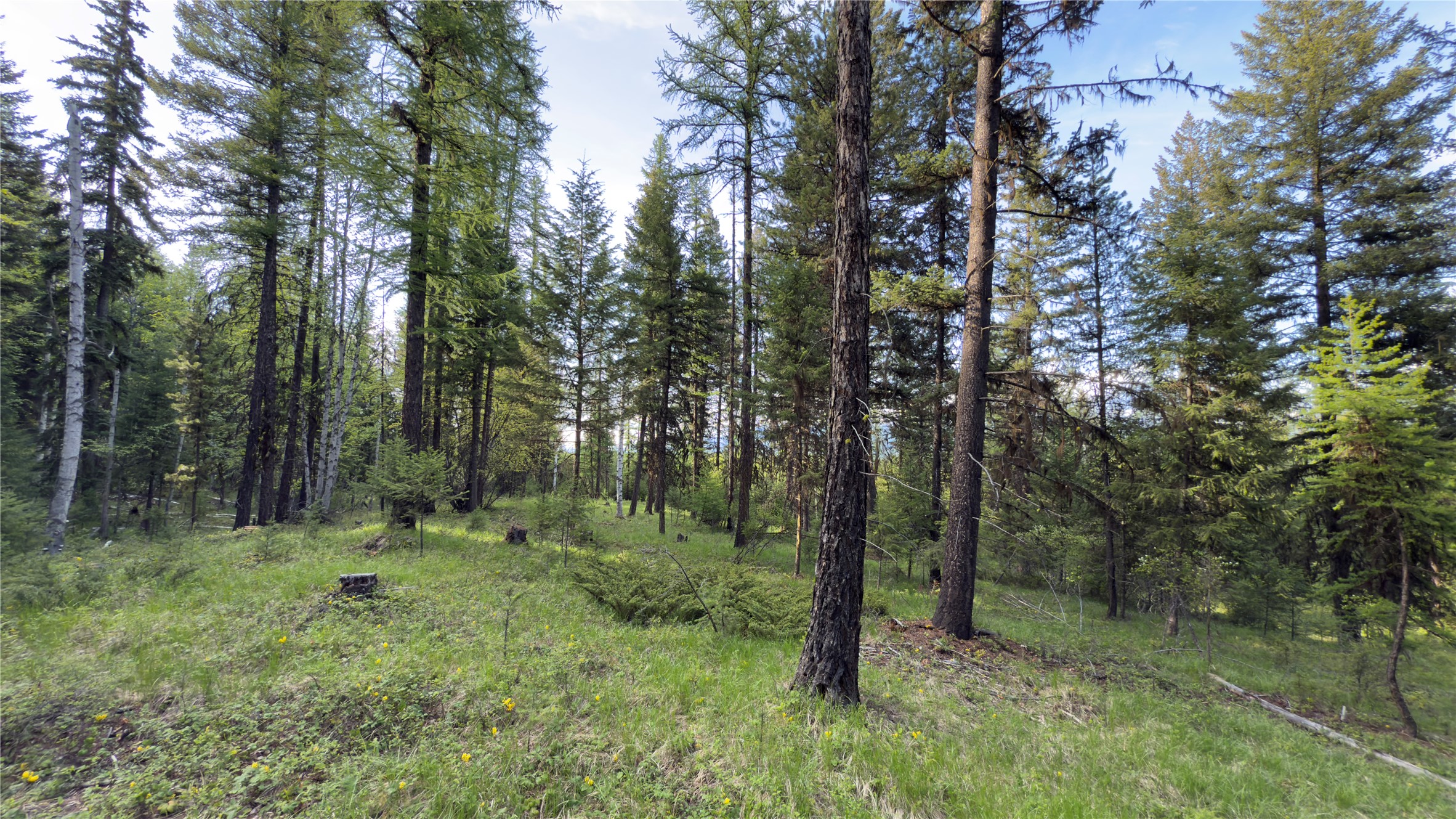 2096 Marl Lake Creek Road