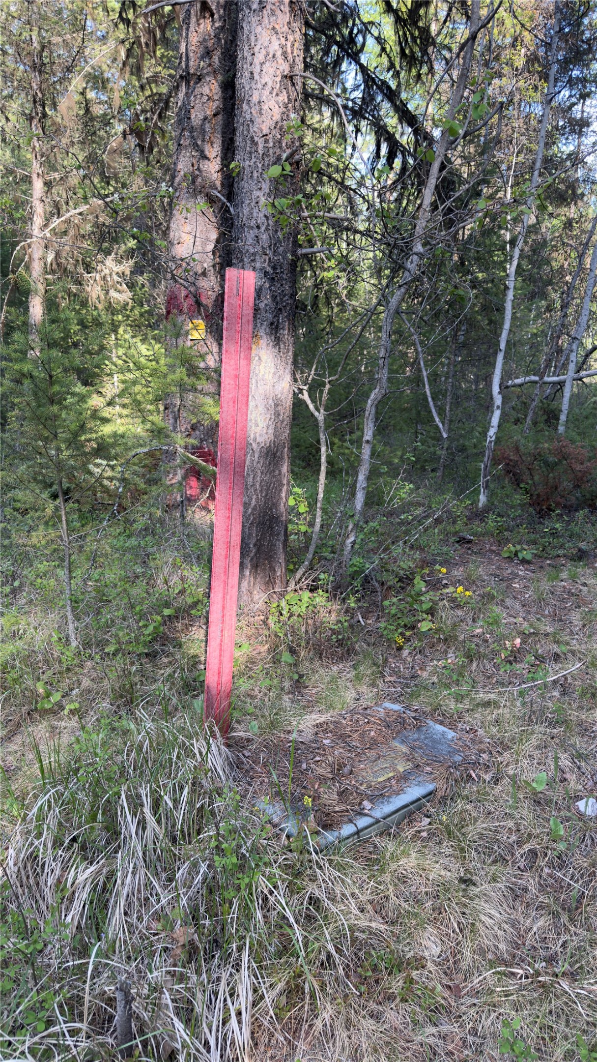 2096 Marl Lake Creek Road