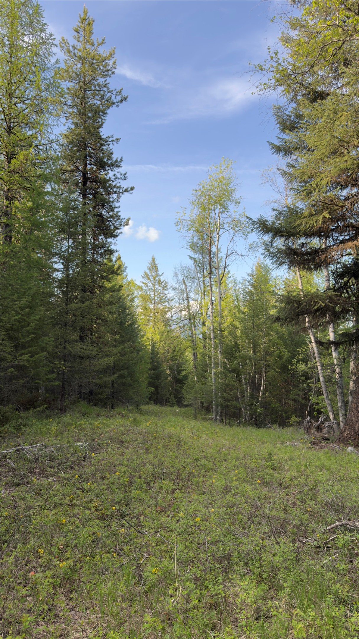 2096 Marl Lake Creek Road