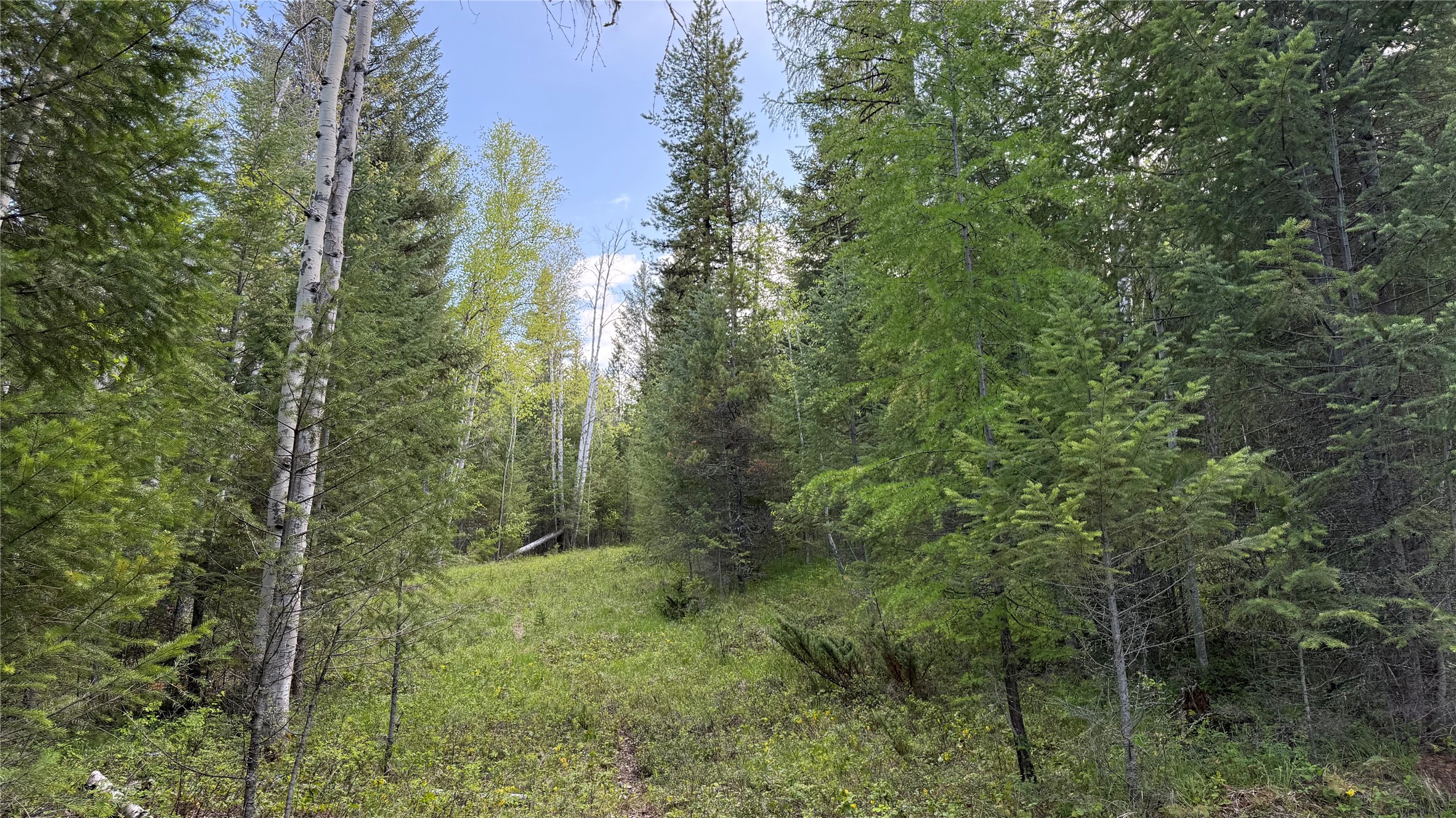 2096 Marl Lake Creek Road