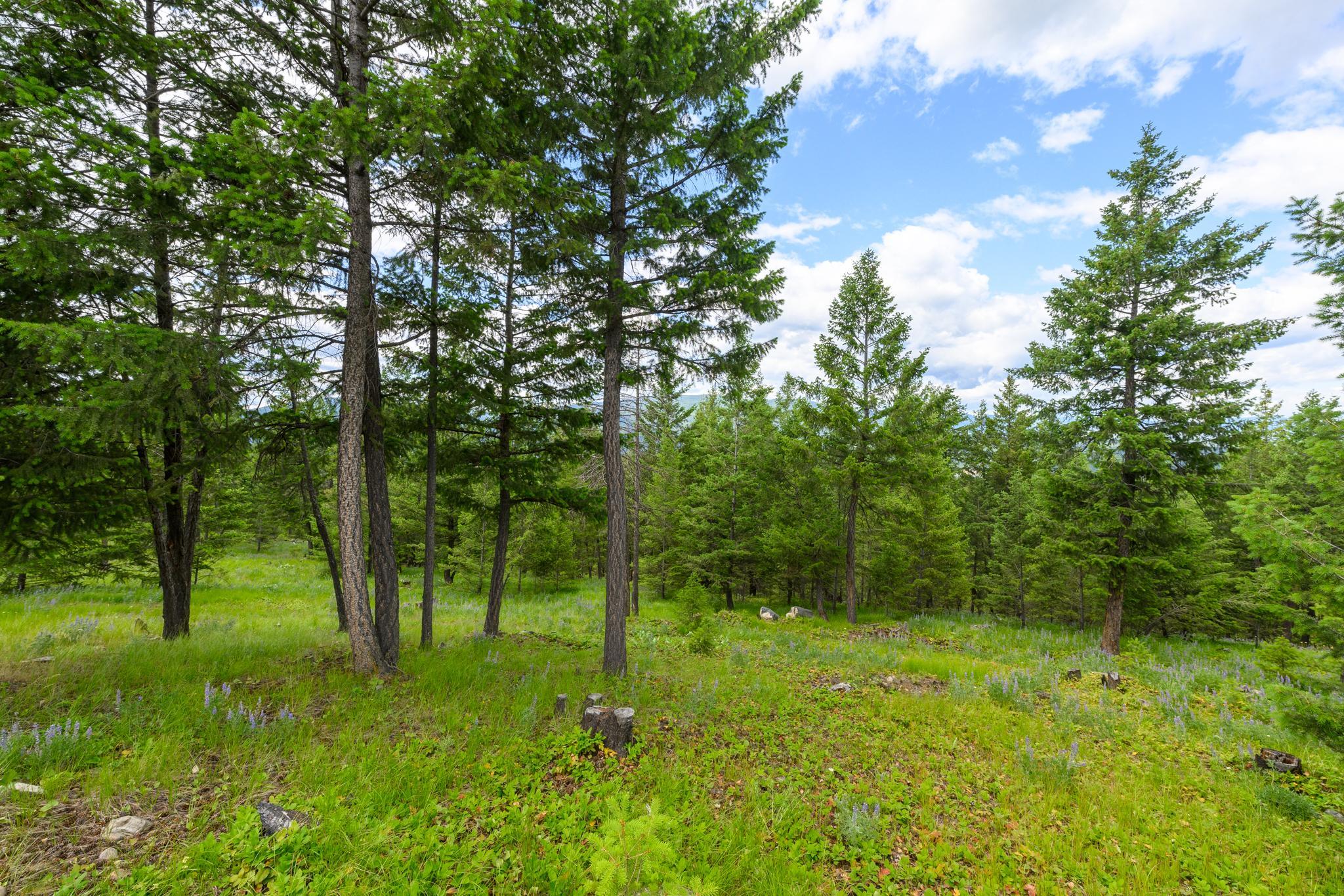 NHN Linda Vista Drive