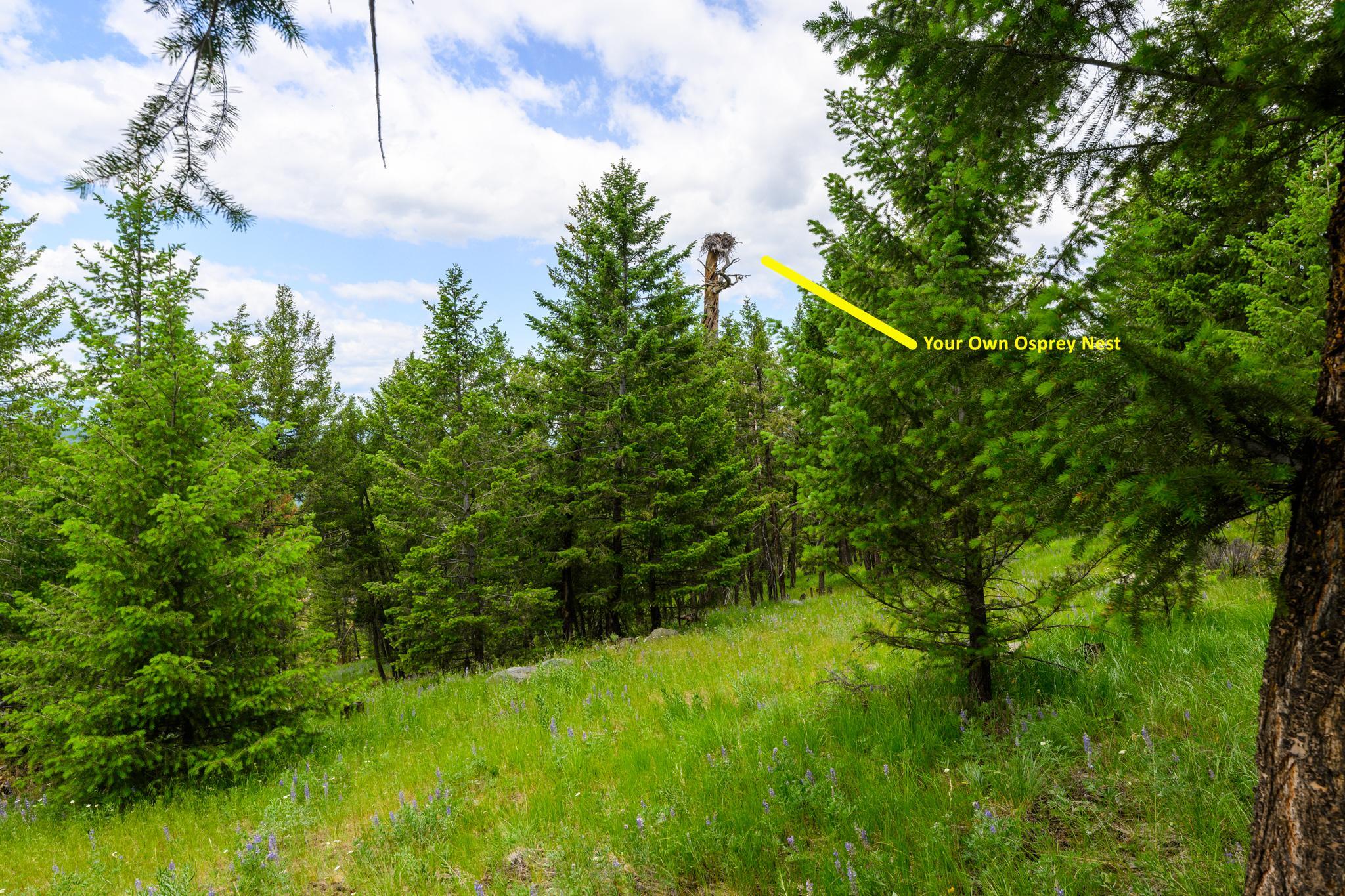 NHN Linda Vista Drive