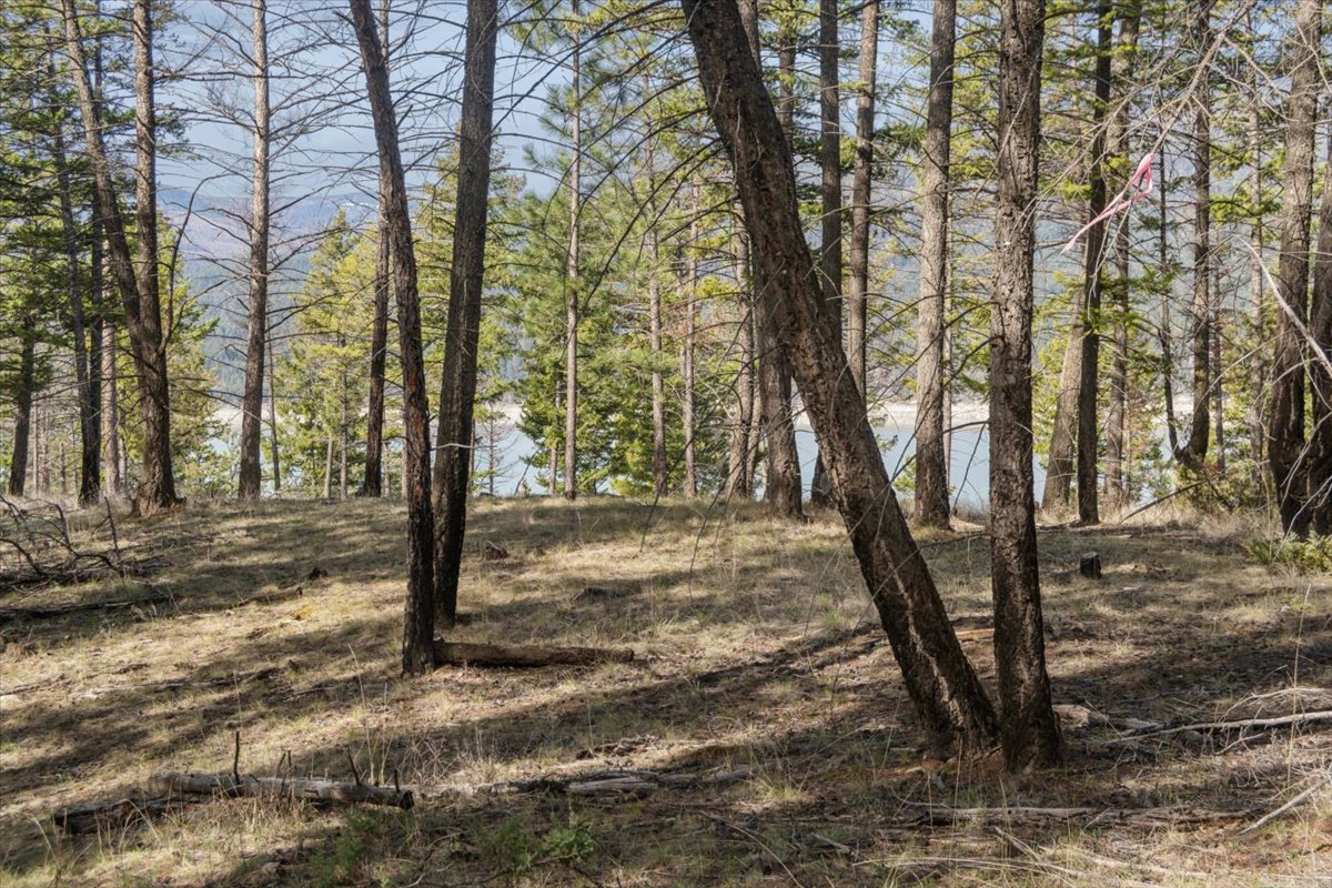 NHN Cove Drive