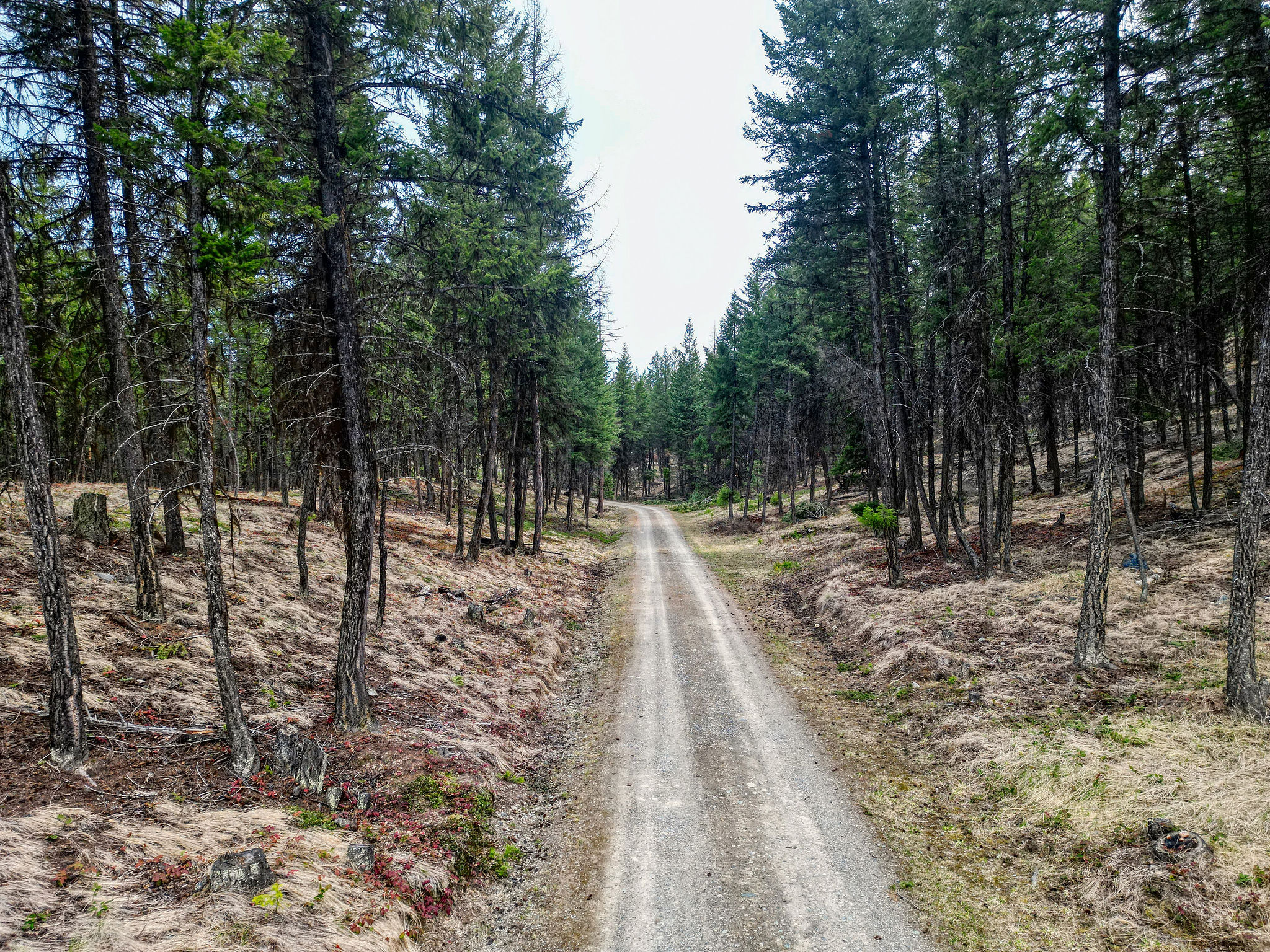 390 Crosscut Road