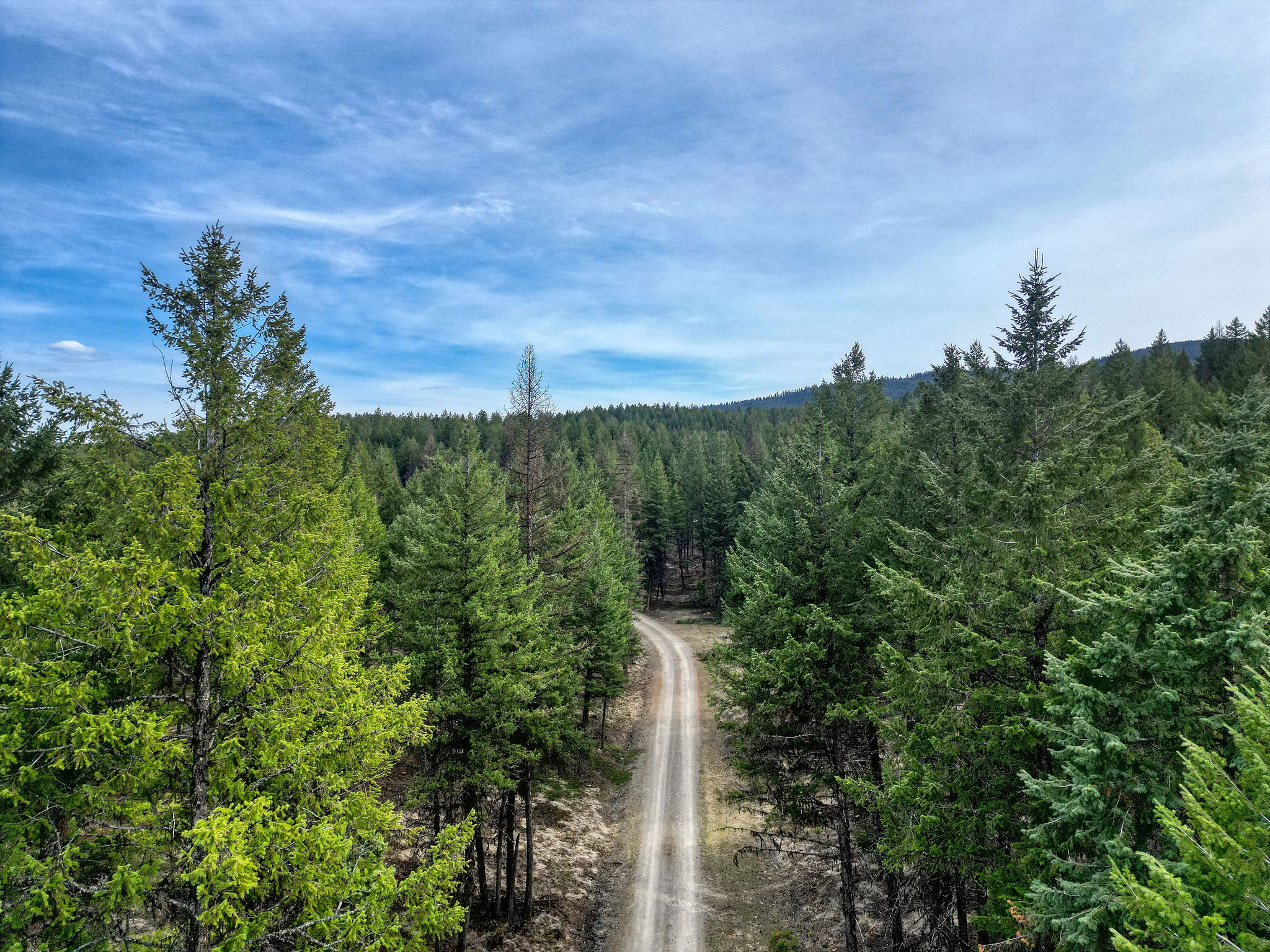 390 Crosscut Road
