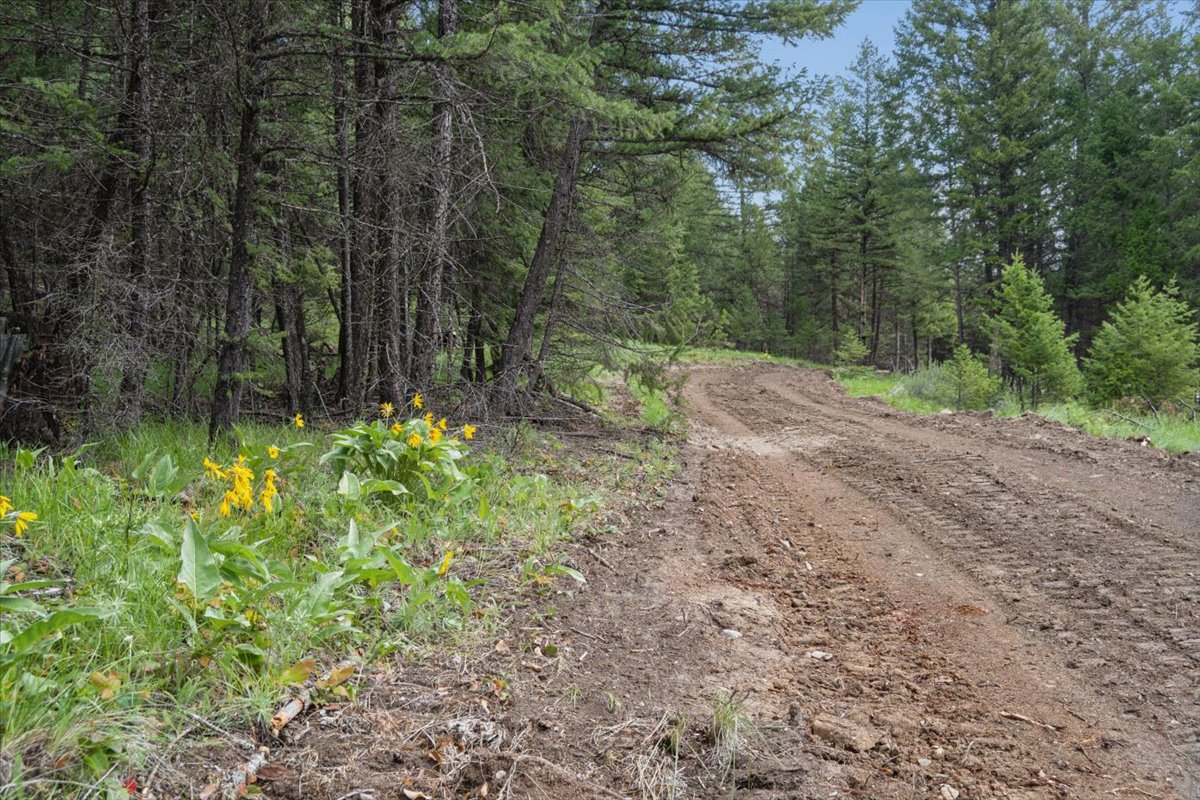 NHN Johnson Draw Road