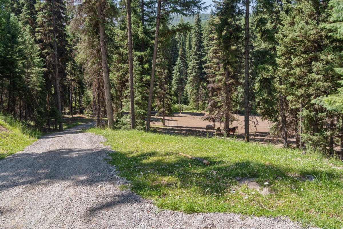 11710 Pinkham Creek Road
