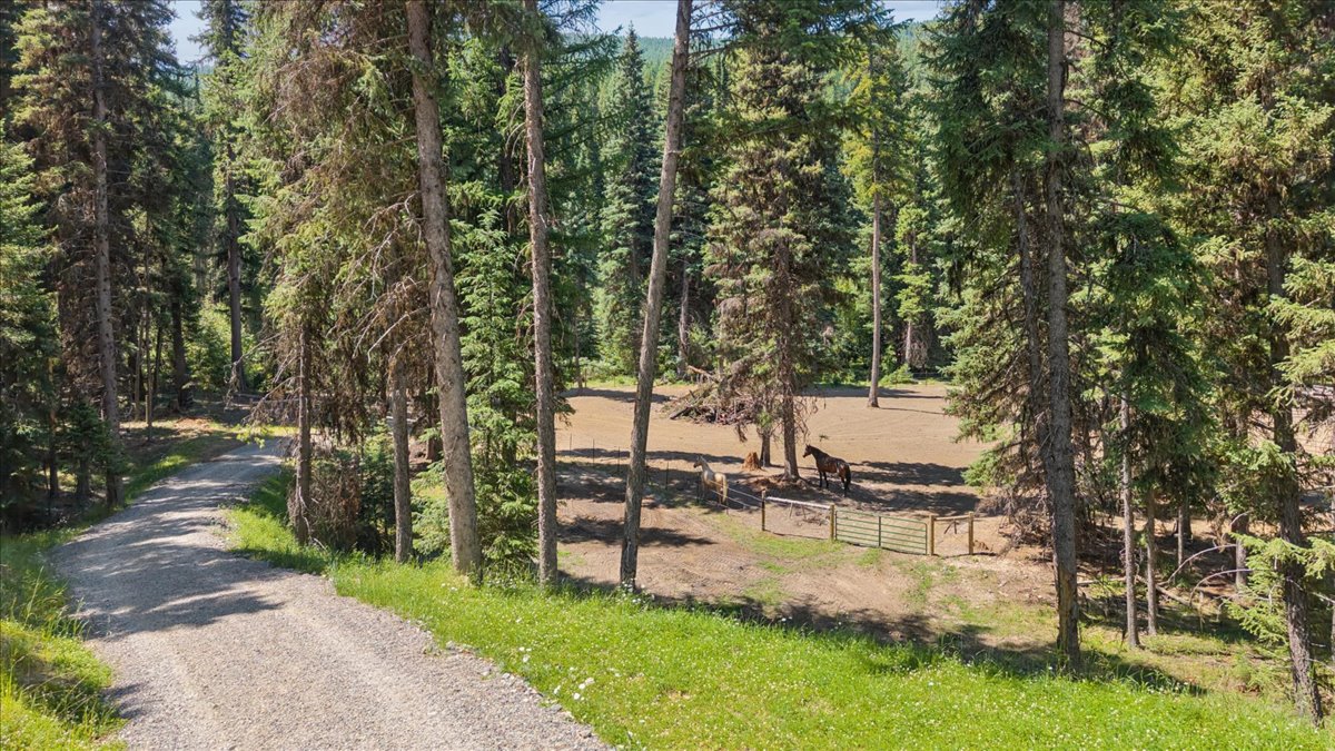 11710 Pinkham Creek Road