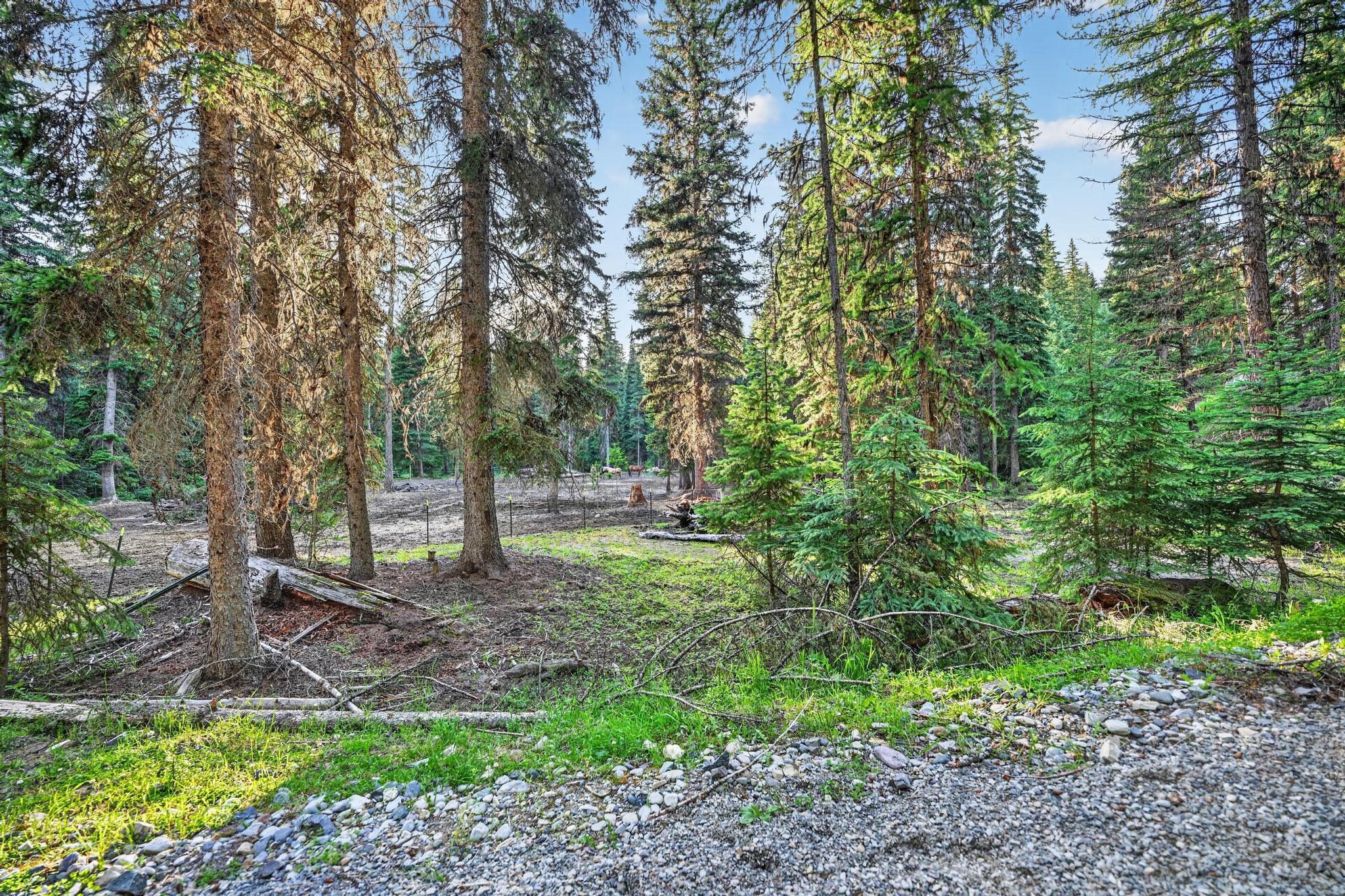 11710 Pinkham Creek Road