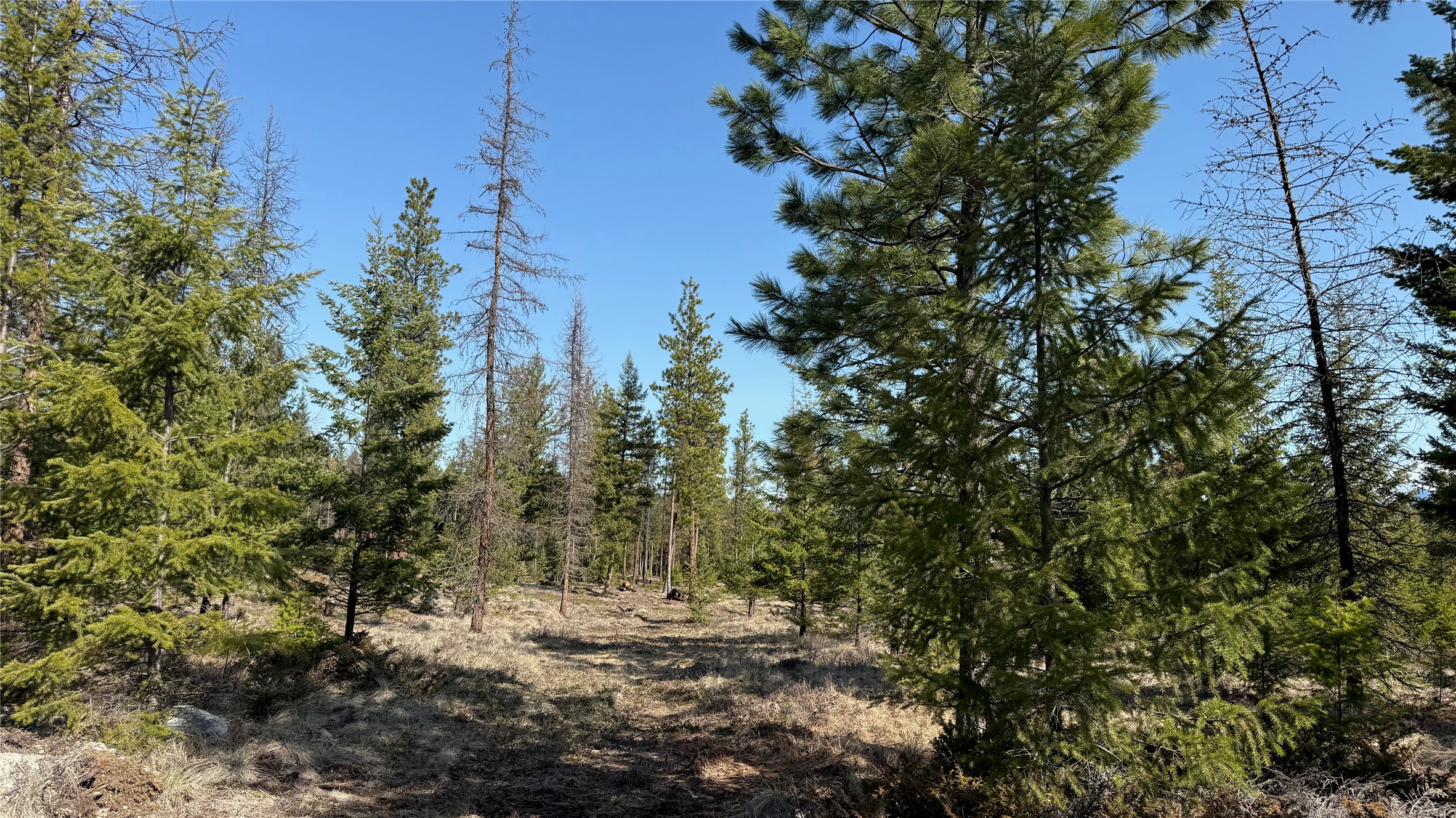 TBD Kootenai Echo Trail