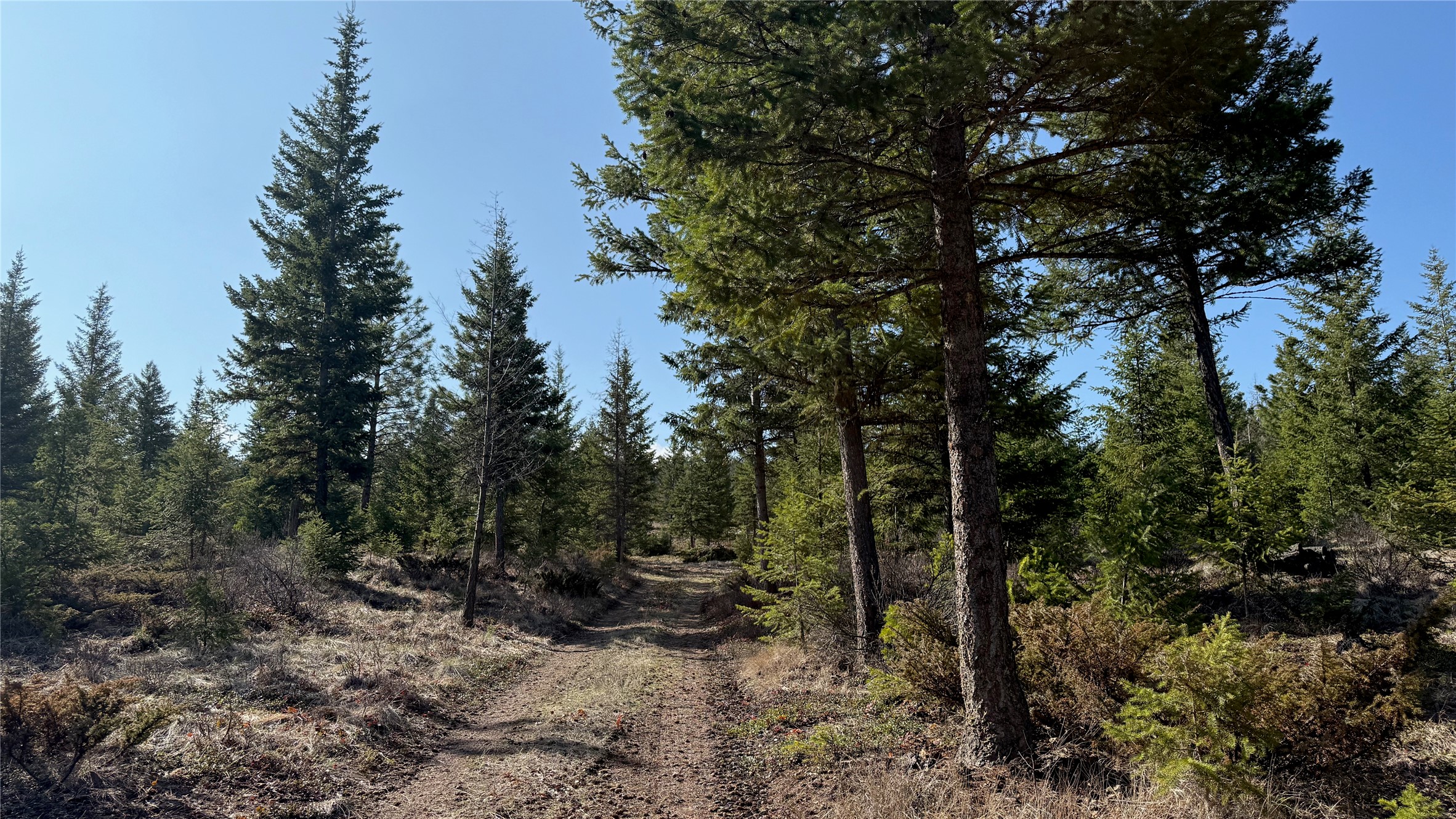 TBD Kootenai Echo Trail