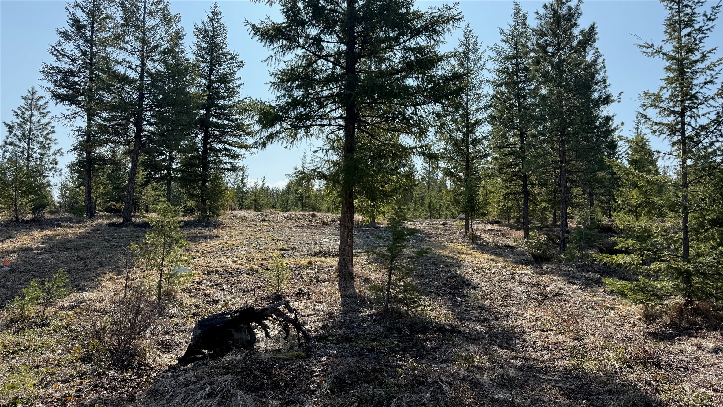 TBD Kootenai Echo Trail