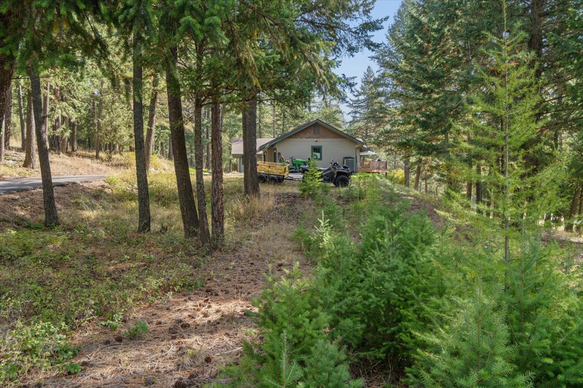 245 Foys Canyon Road