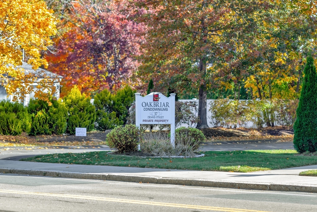 37 Dennis St # 12