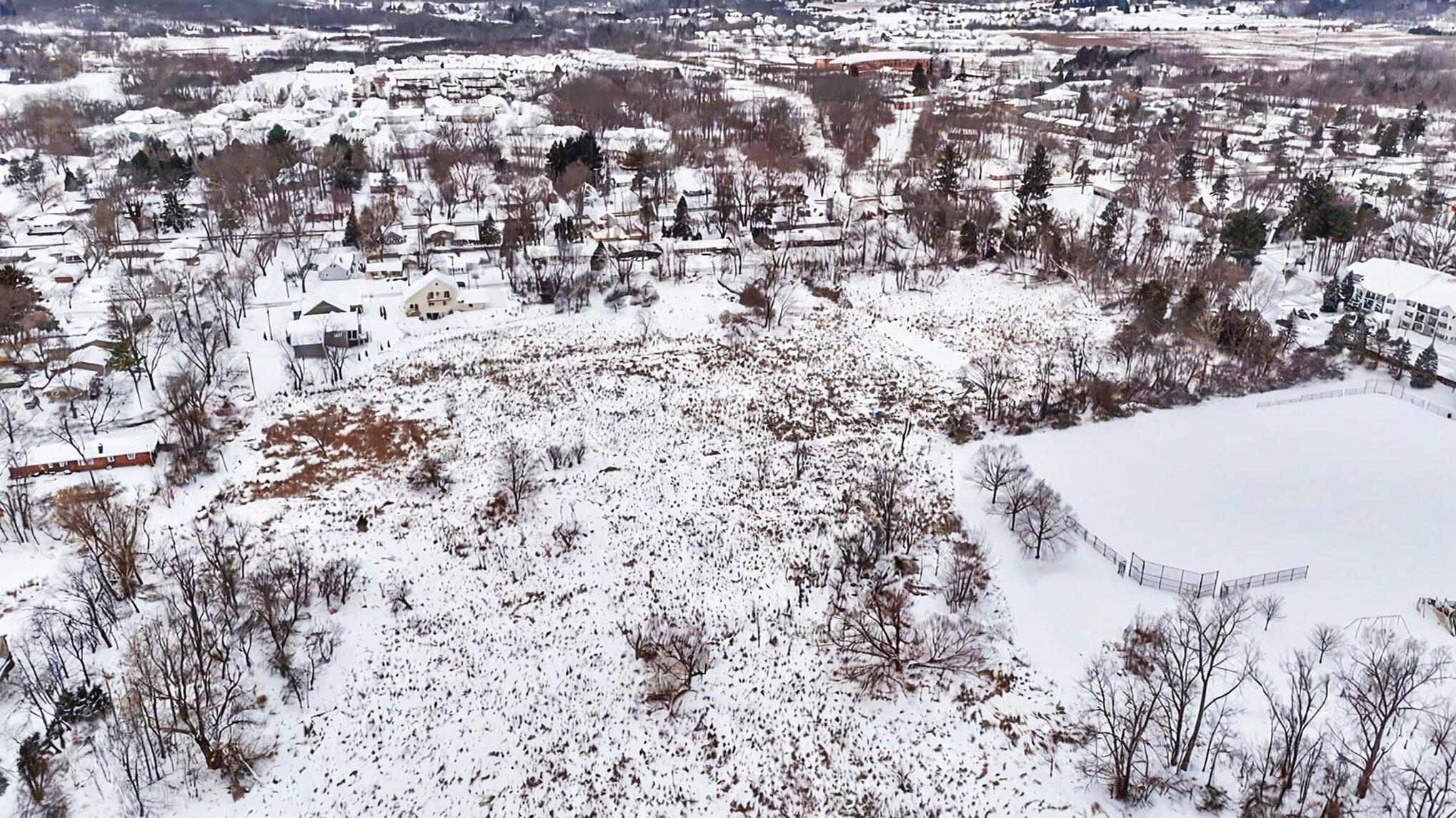 415 Vacant Land Parcel D - Dale Street