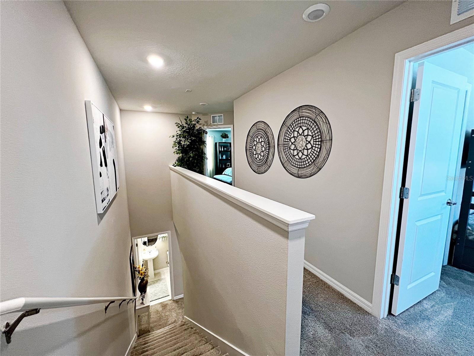 2205 GOPHER TORTOISE TER