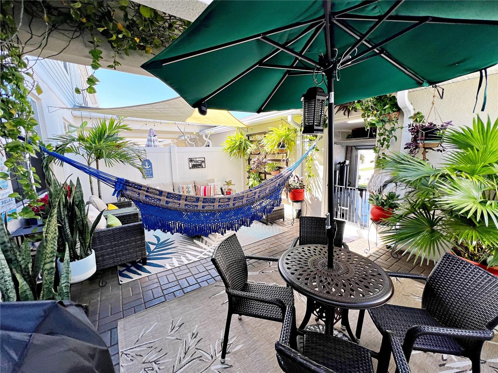 2205 GOPHER TORTOISE TER