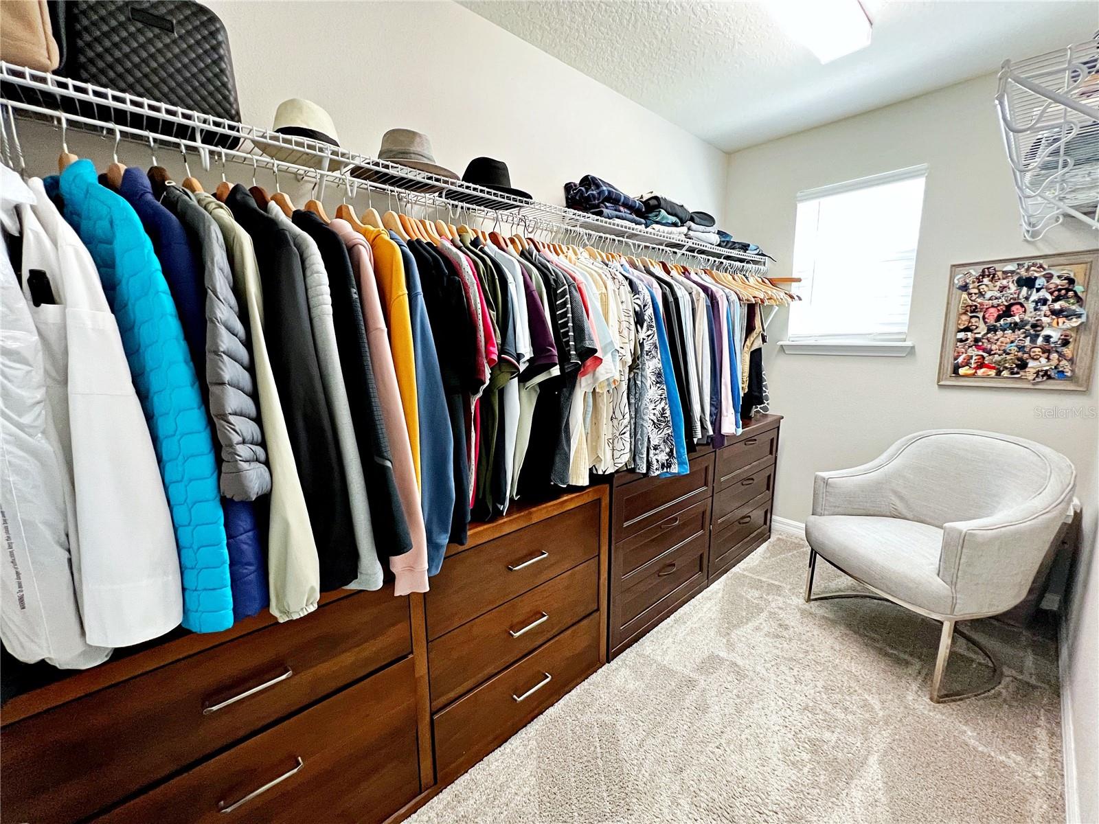 2205 GOPHER TORTOISE TER