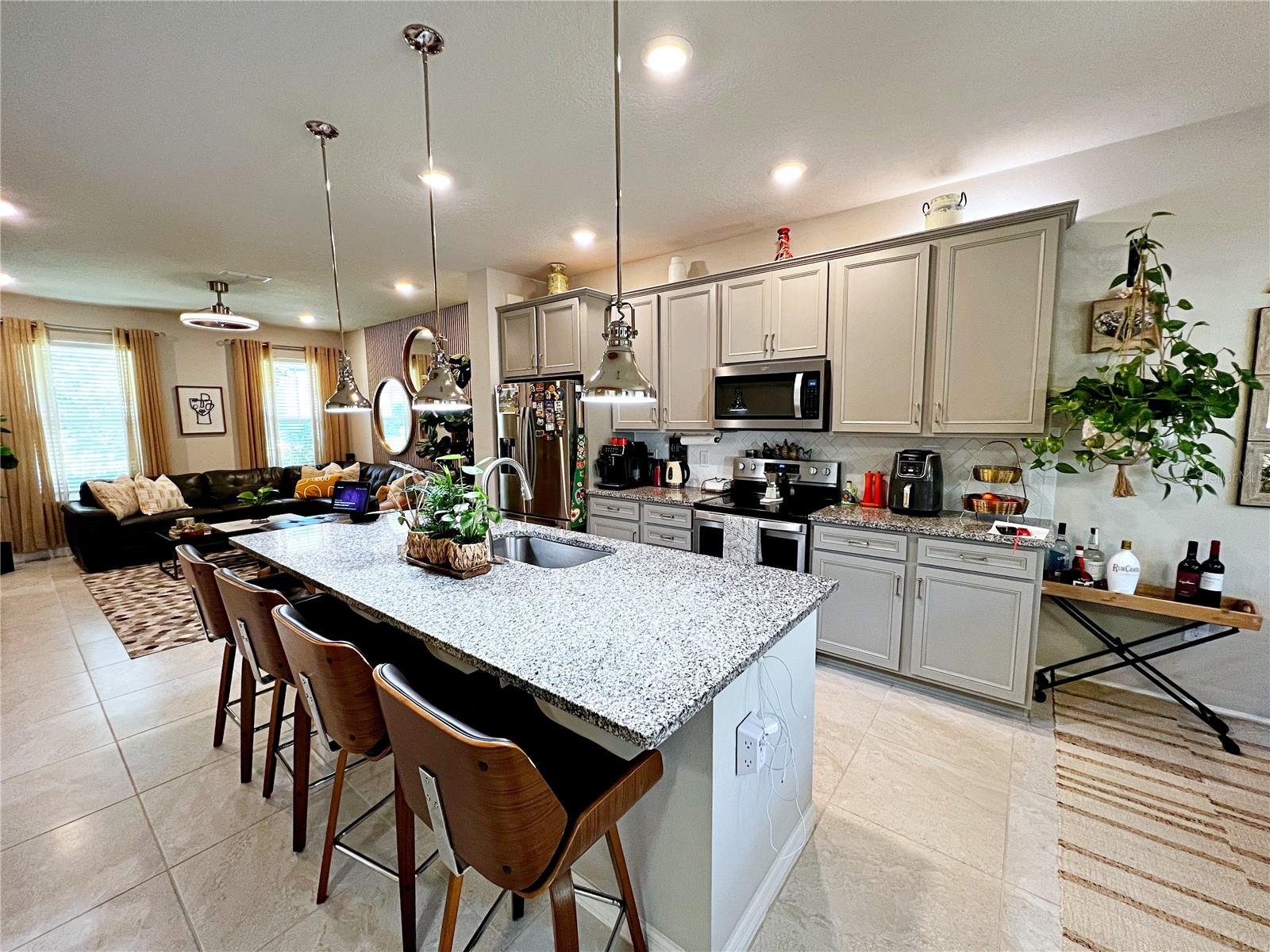 2205 GOPHER TORTOISE TER