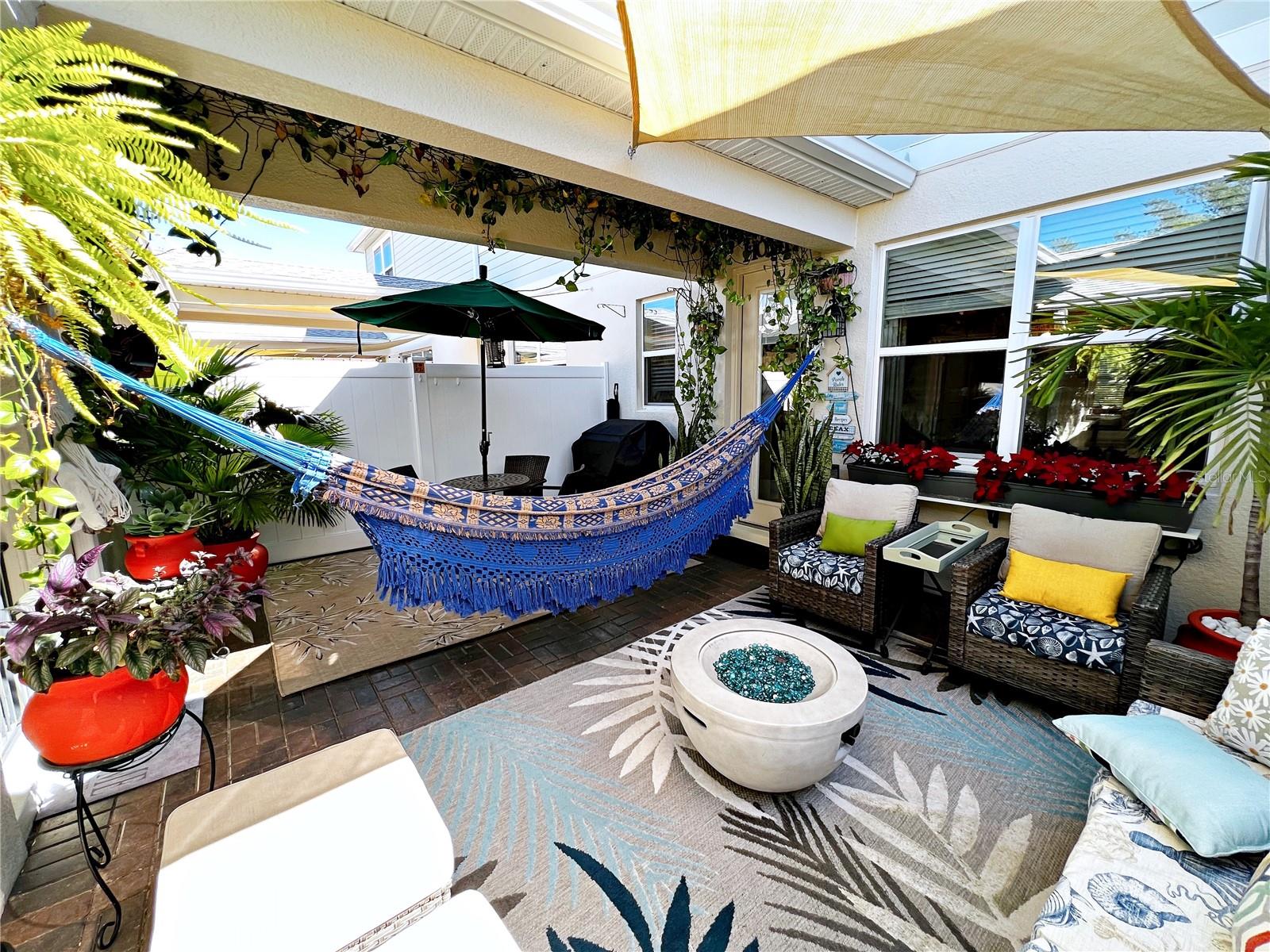 2205 GOPHER TORTOISE TER