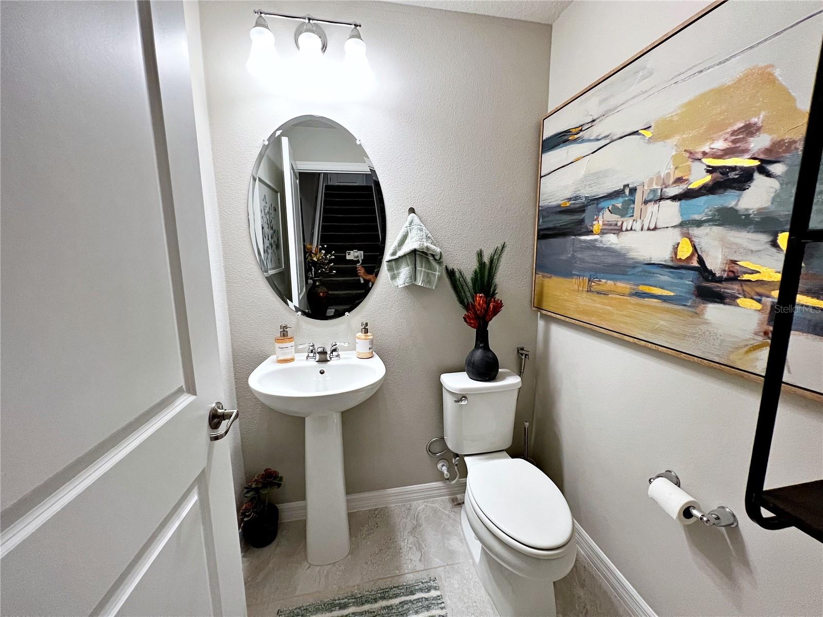 2205 GOPHER TORTOISE TER