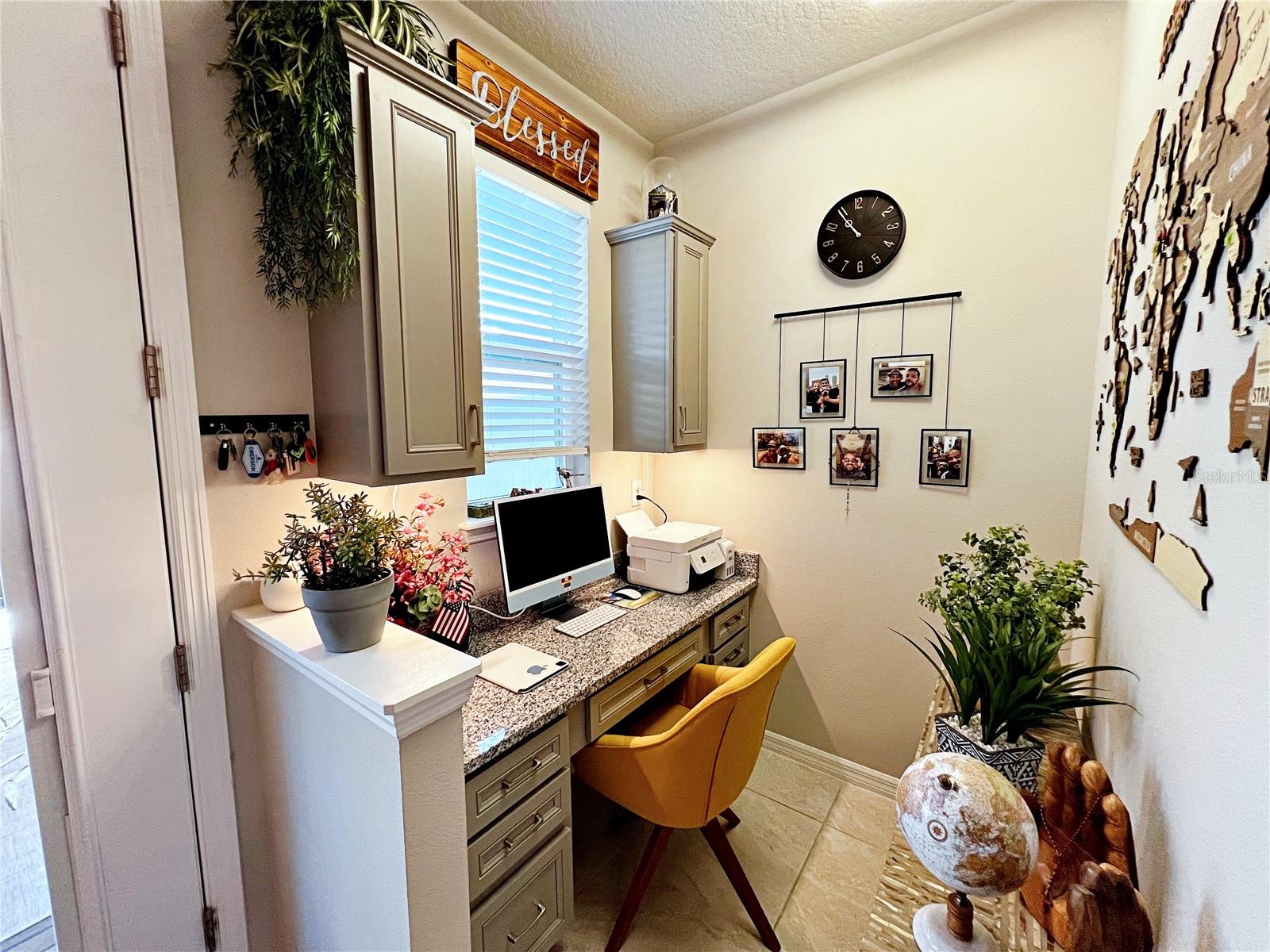 2205 GOPHER TORTOISE TER