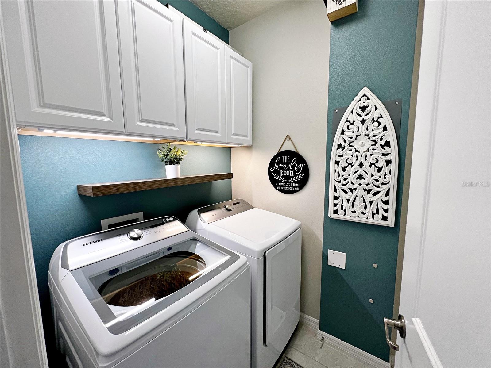 2205 GOPHER TORTOISE TER