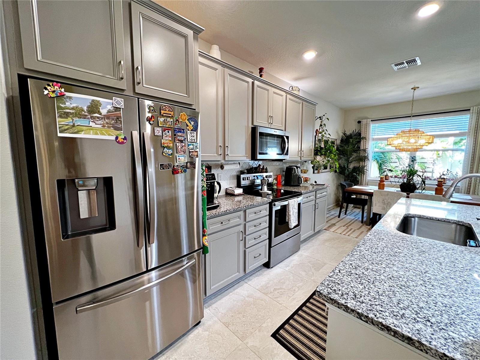 2205 GOPHER TORTOISE TER