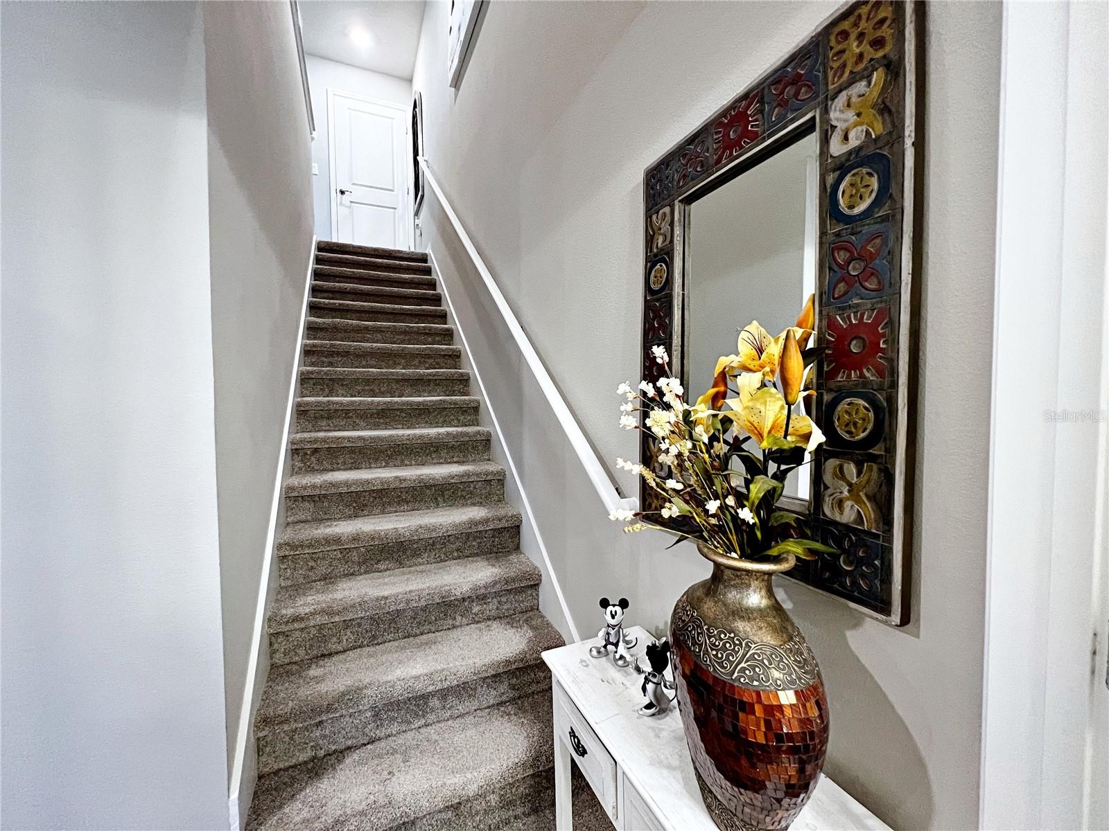 2205 GOPHER TORTOISE TER