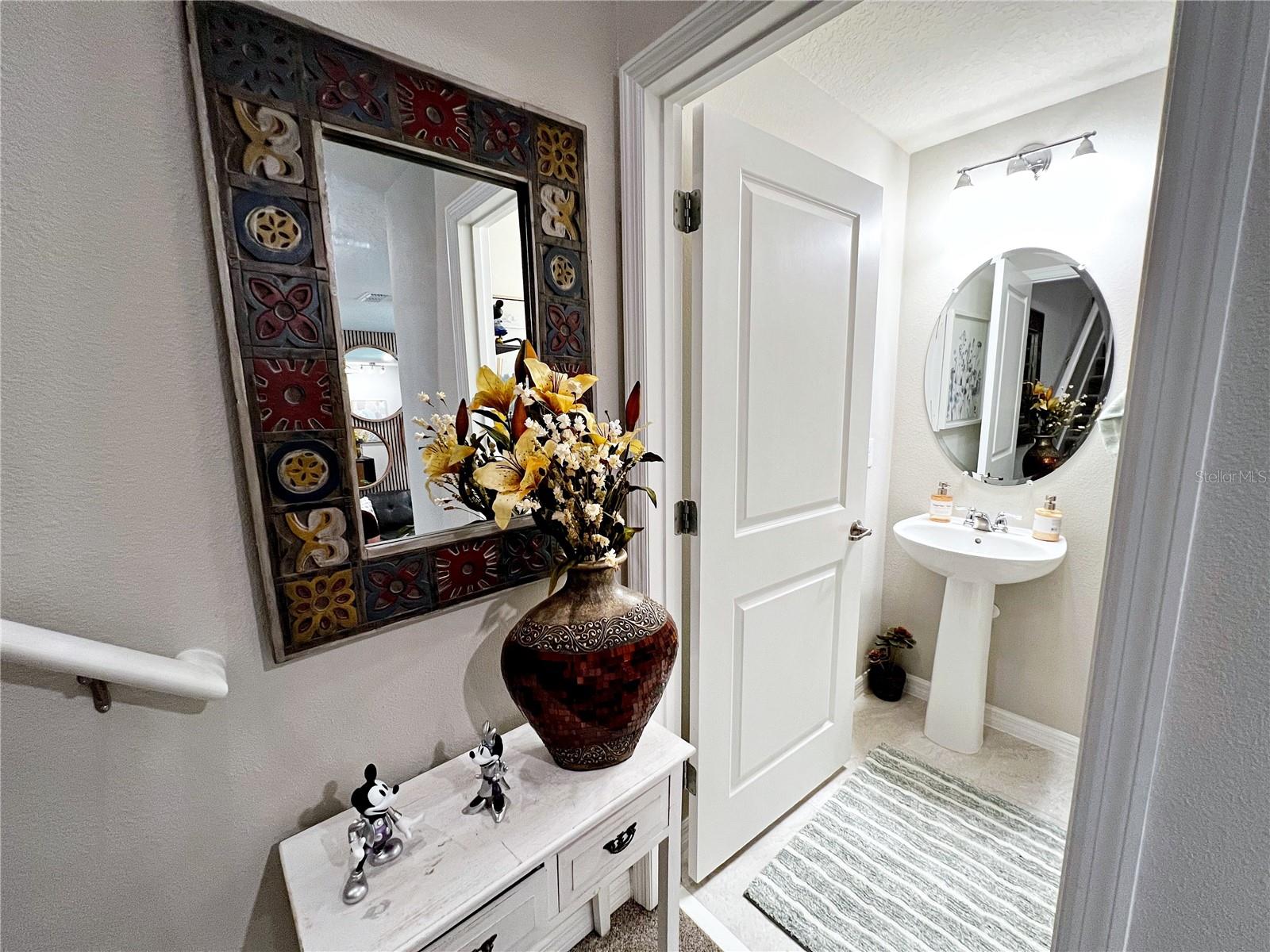 2205 GOPHER TORTOISE TER