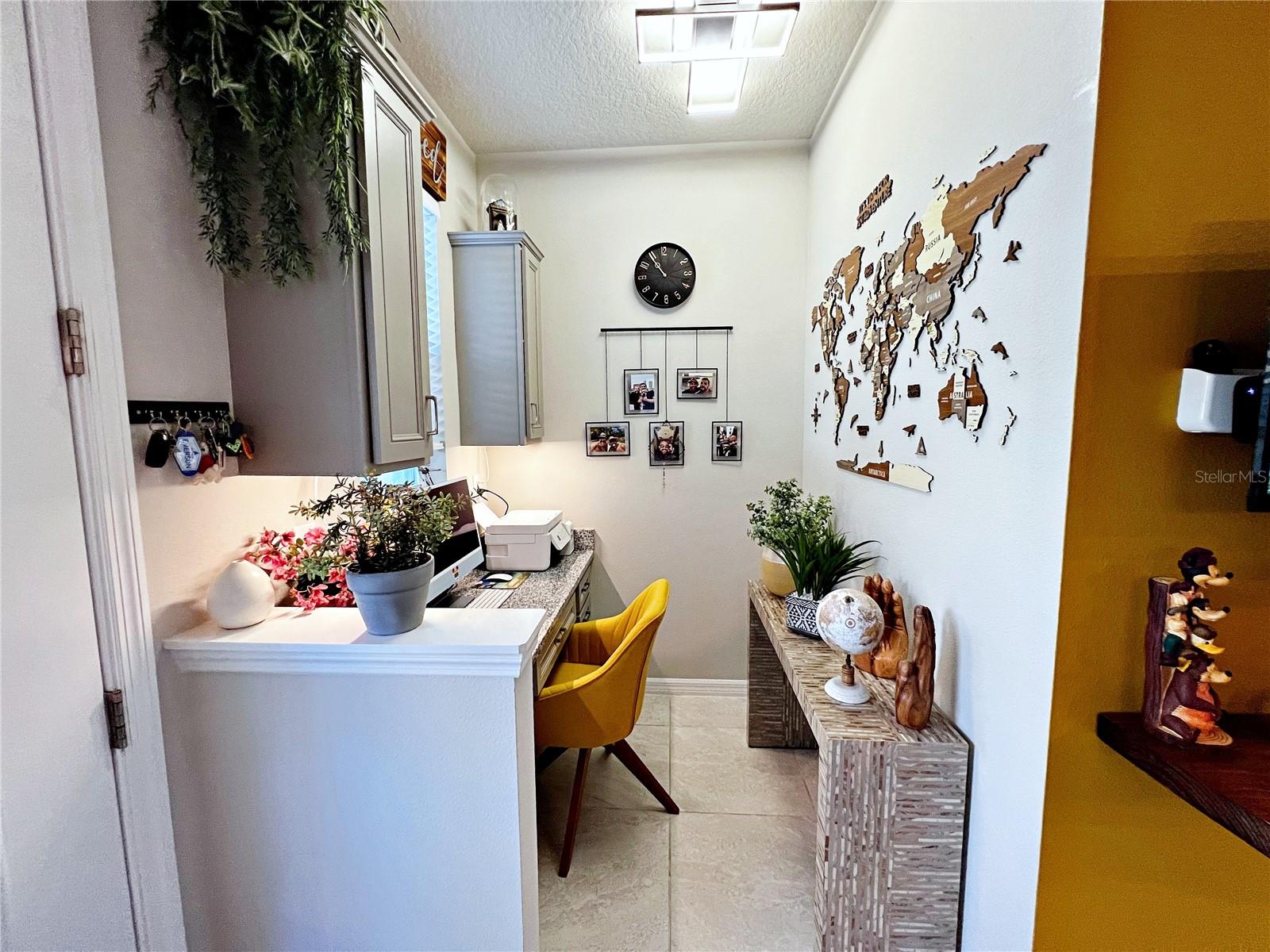 2205 GOPHER TORTOISE TER