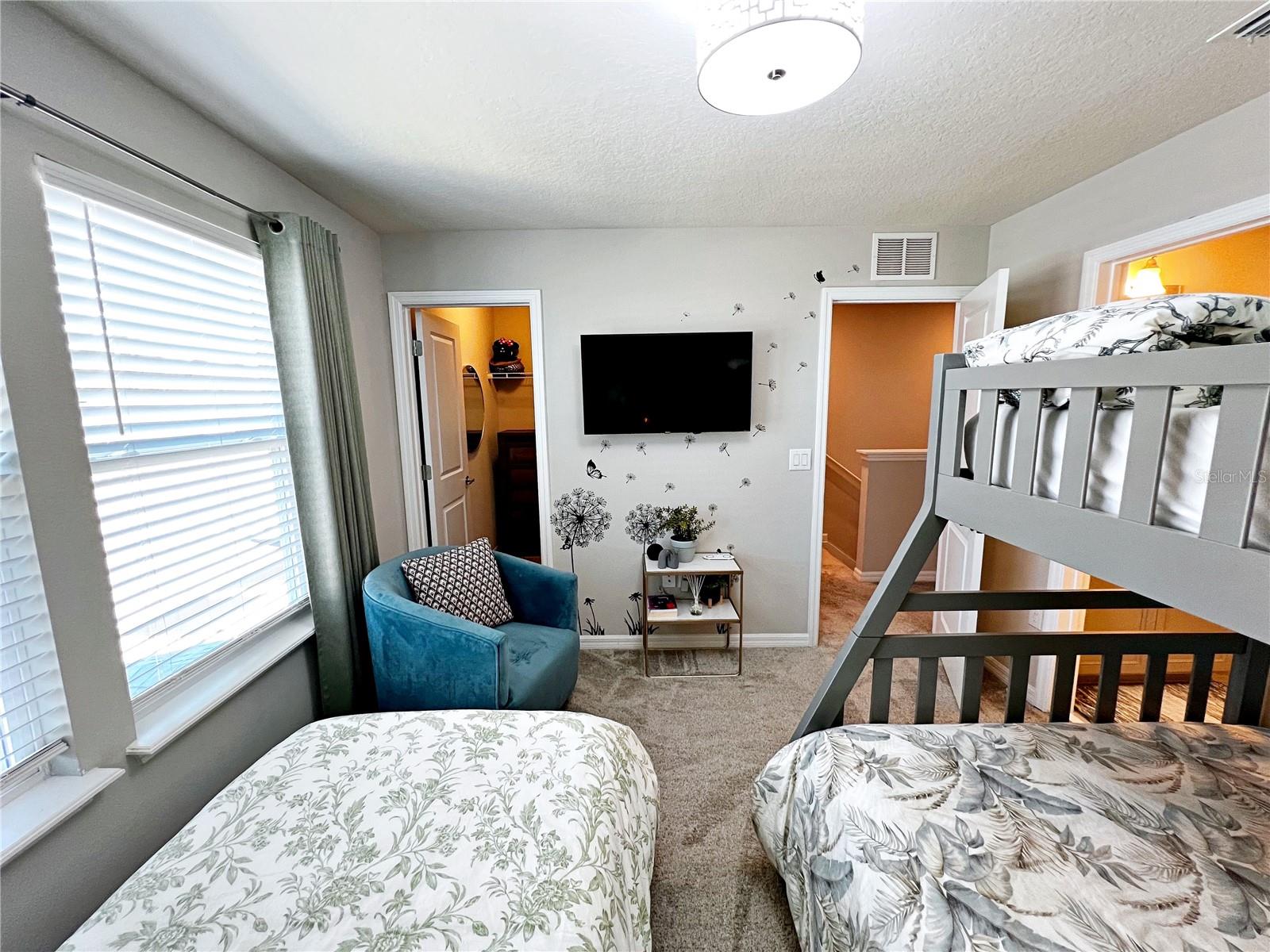 2205 GOPHER TORTOISE TER