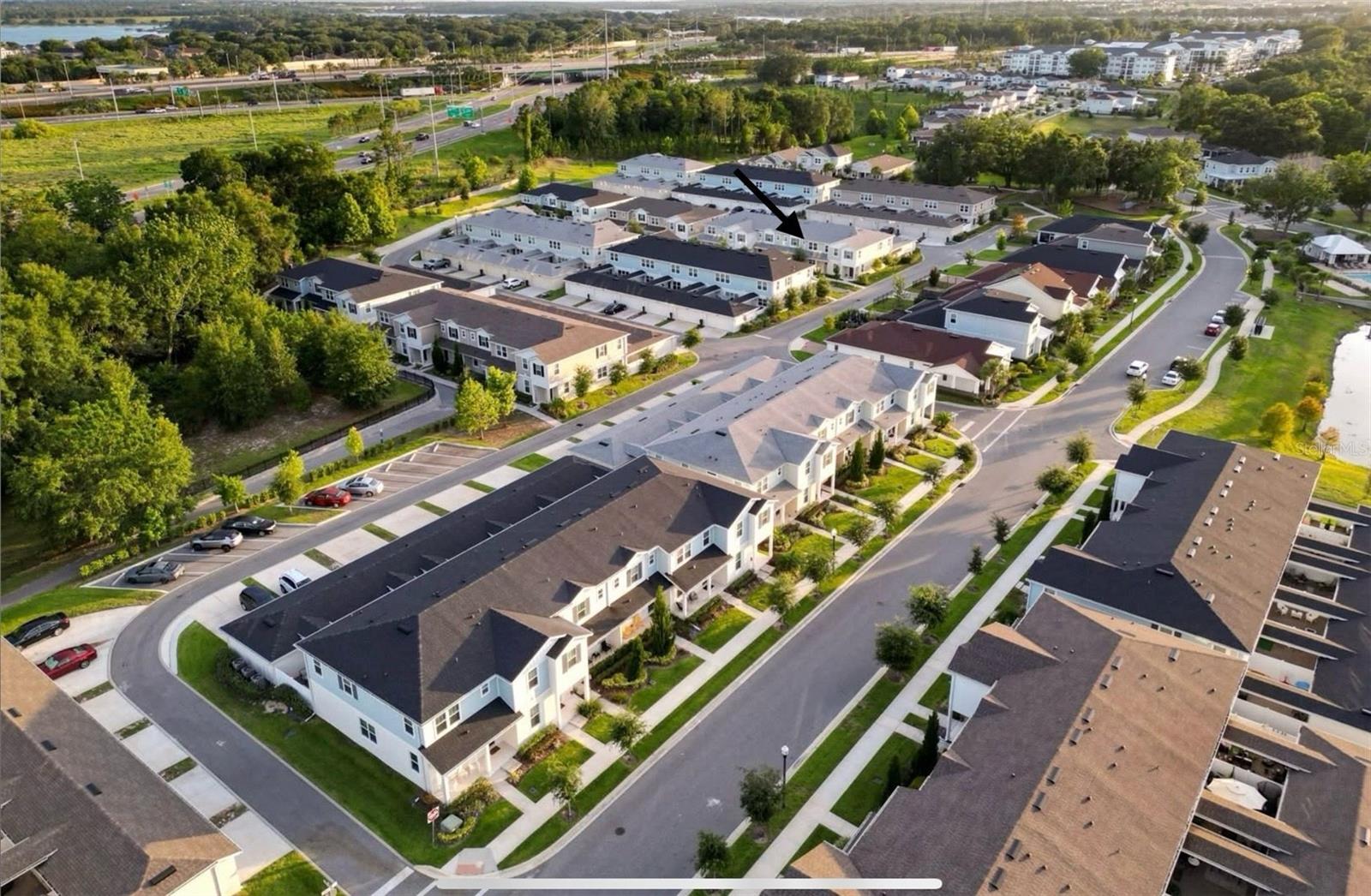 2205 GOPHER TORTOISE TER