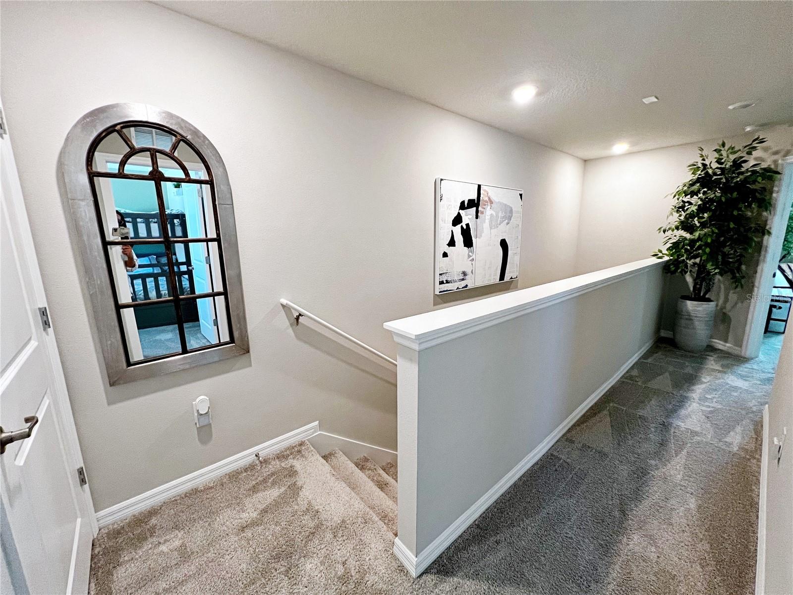 2205 GOPHER TORTOISE TER