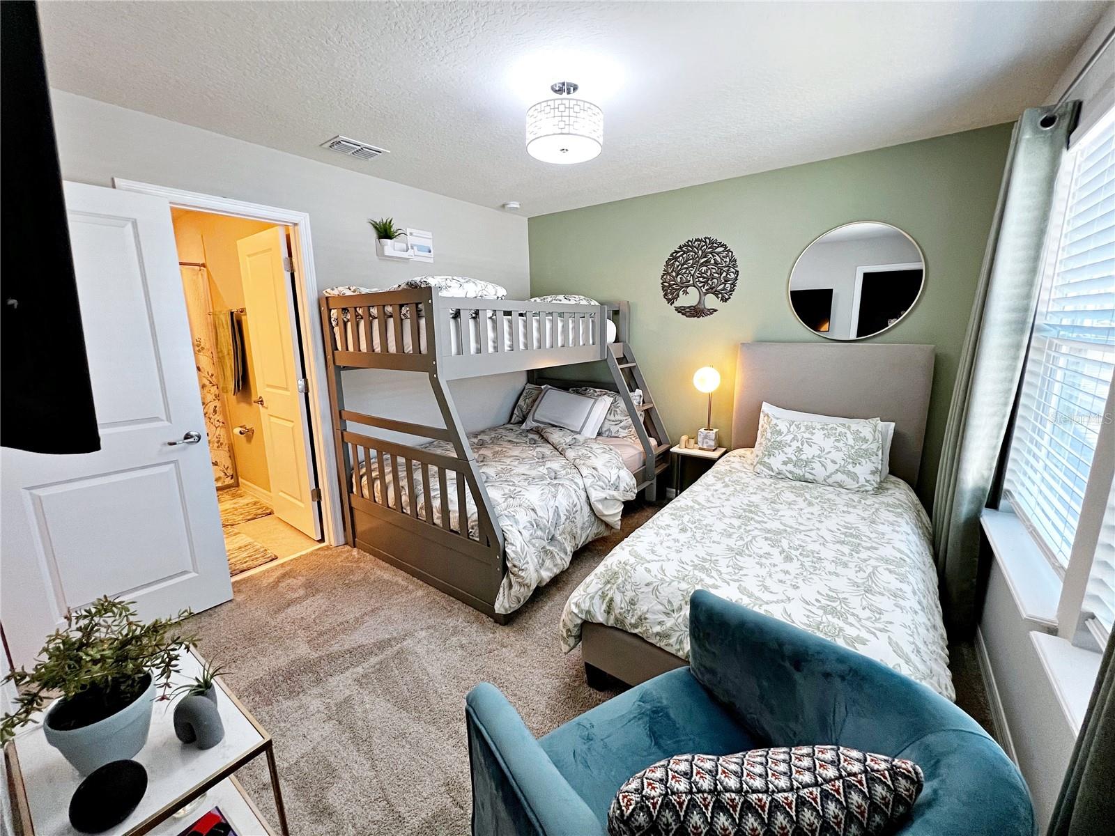 2205 GOPHER TORTOISE TER