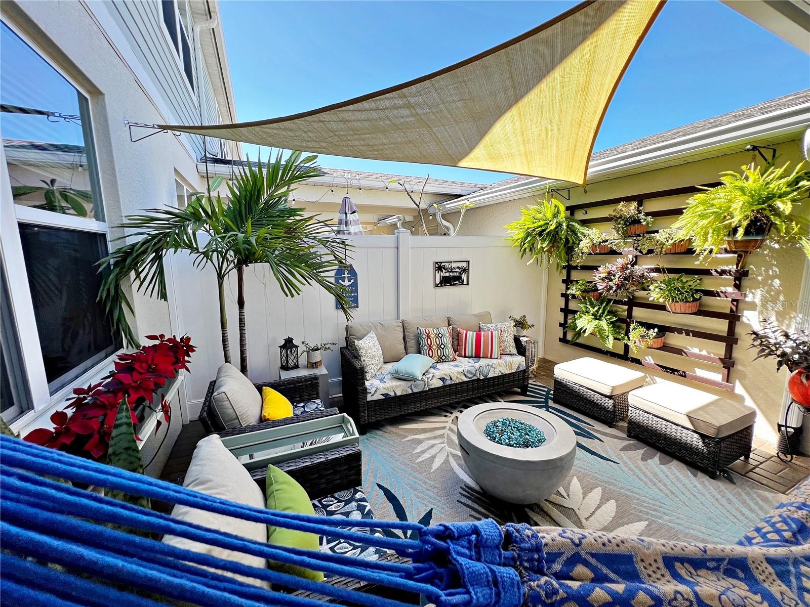 2205 GOPHER TORTOISE TER