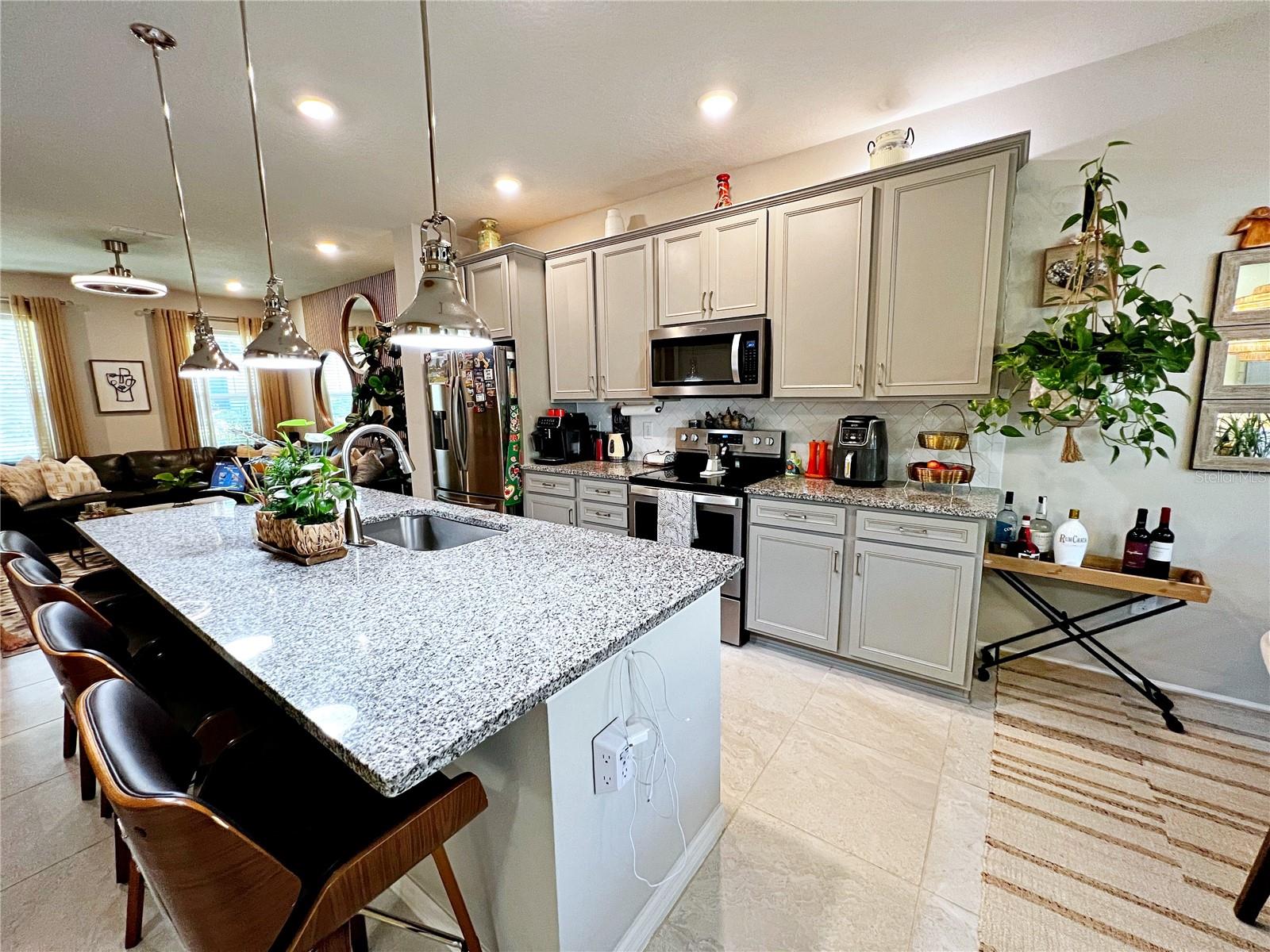 2205 GOPHER TORTOISE TER