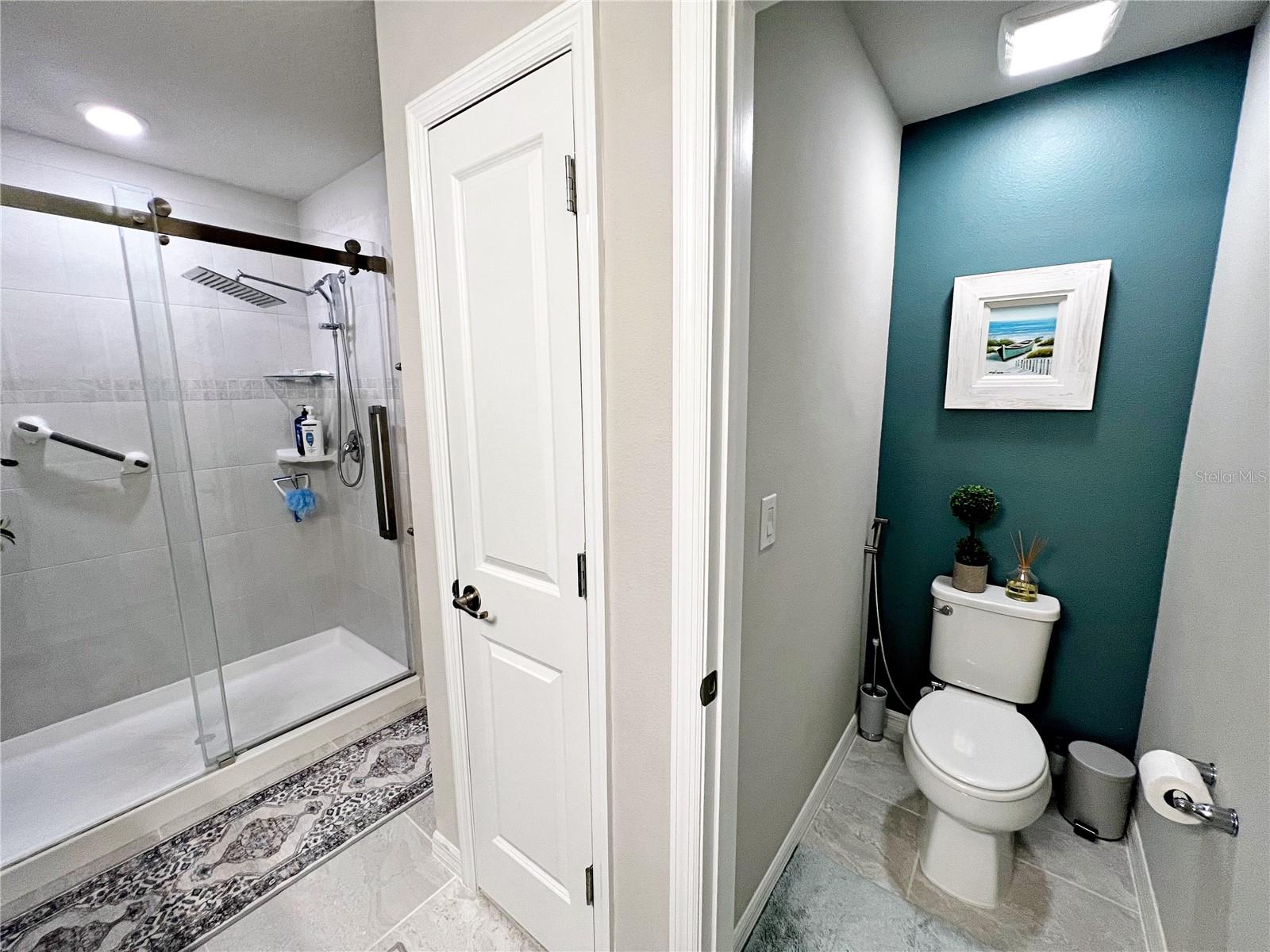 2205 GOPHER TORTOISE TER