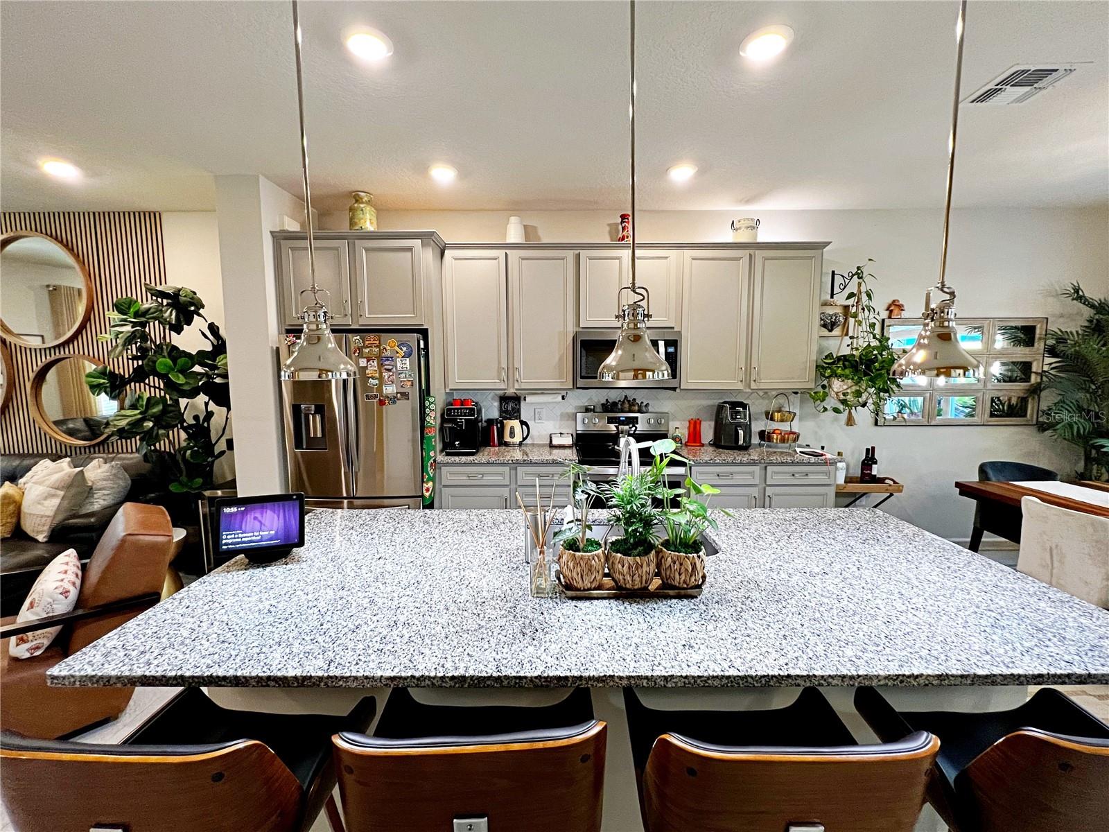 2205 GOPHER TORTOISE TER