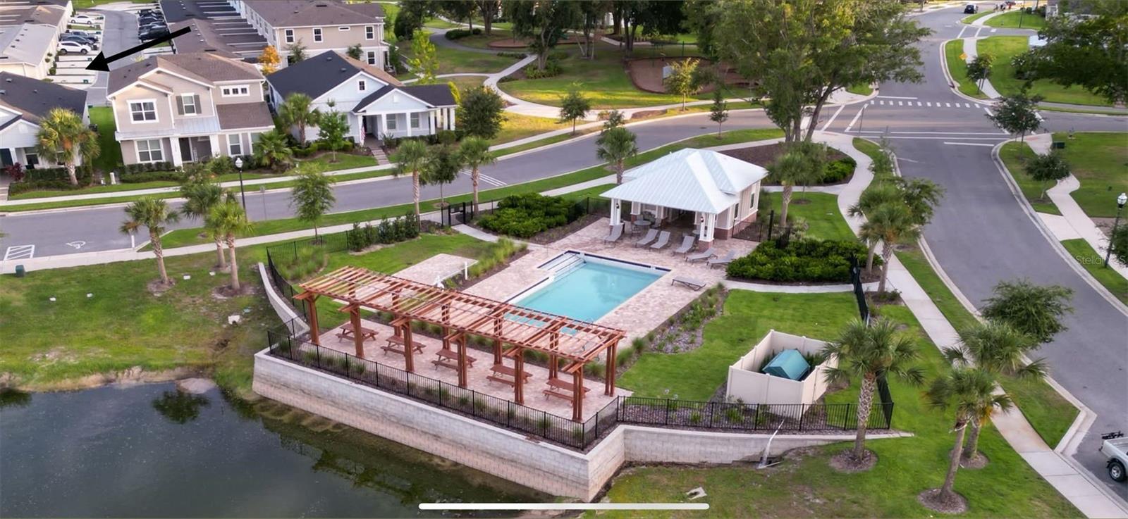 2205 GOPHER TORTOISE TER