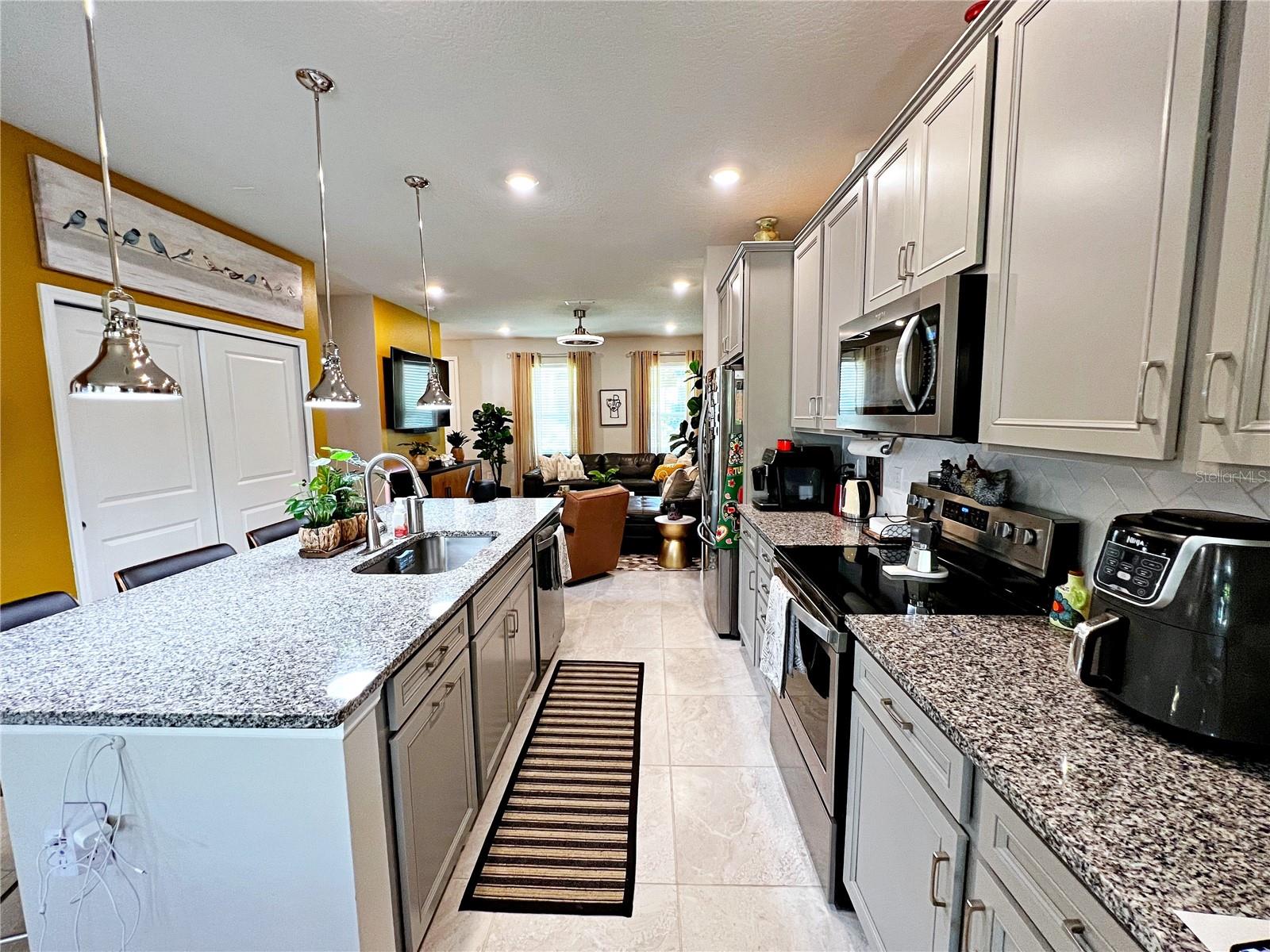 2205 GOPHER TORTOISE TER