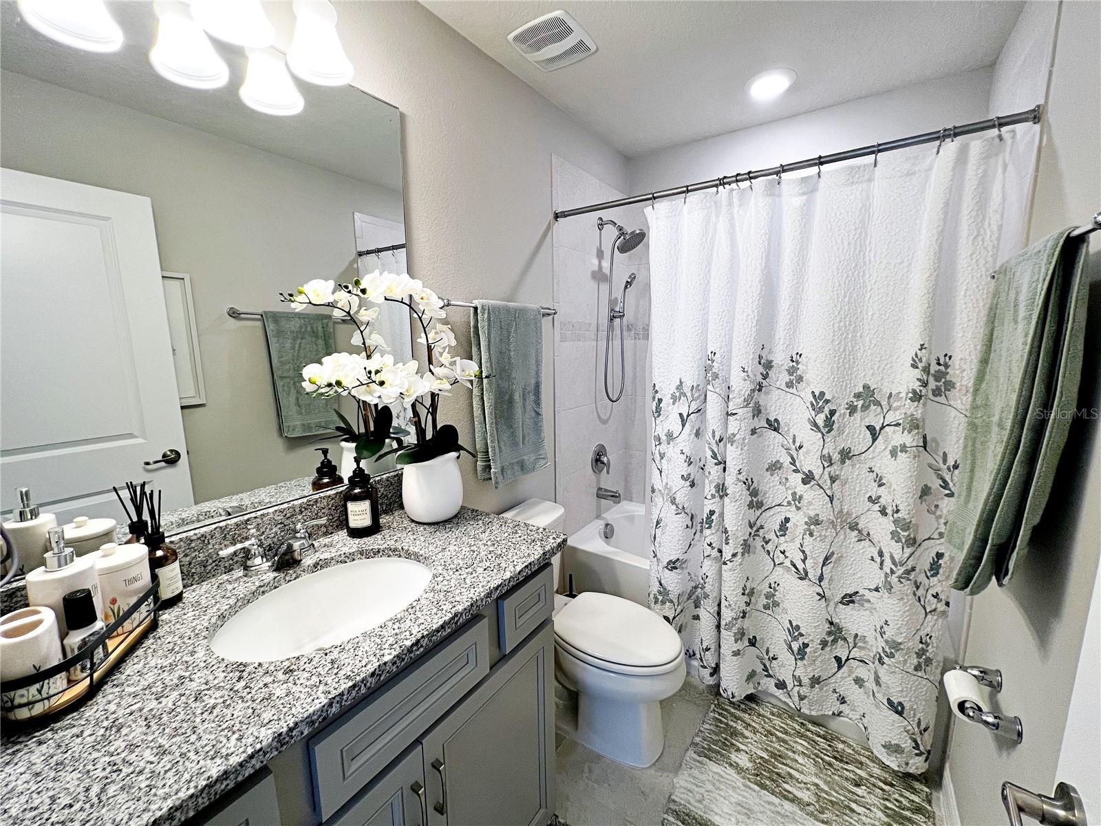 2205 GOPHER TORTOISE TER